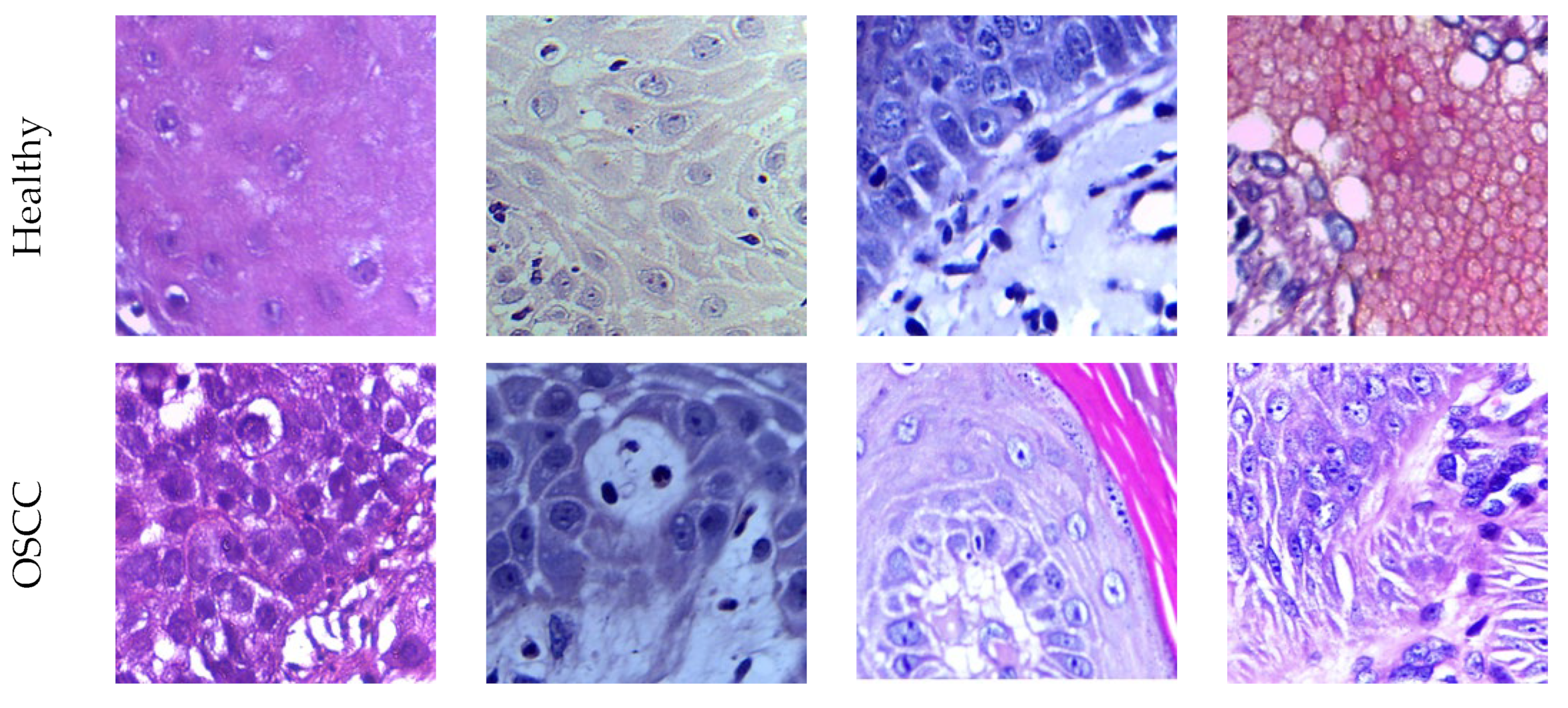 Biomolecules 13 01090 g004
