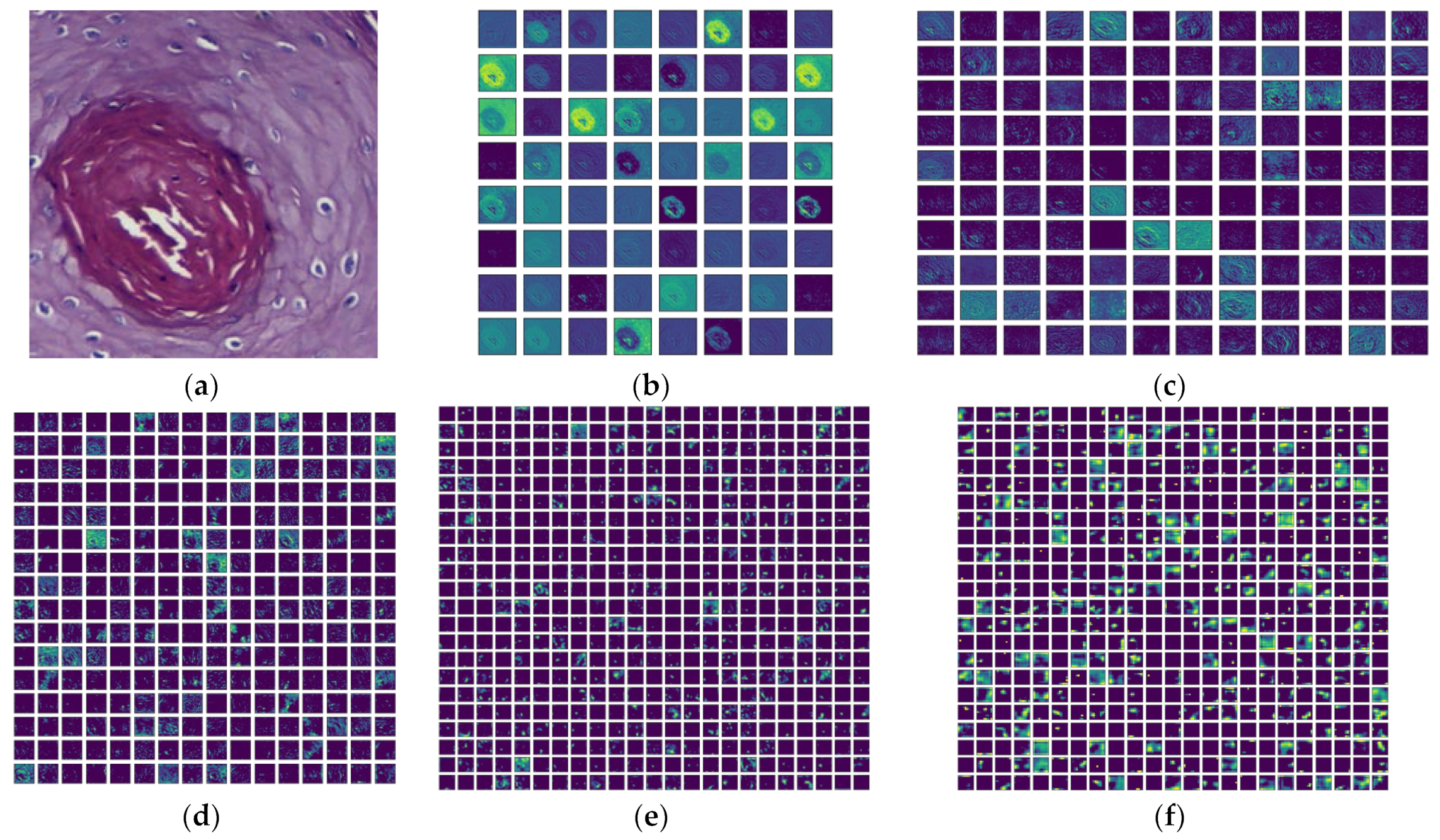 Biomolecules 13 01090 g009