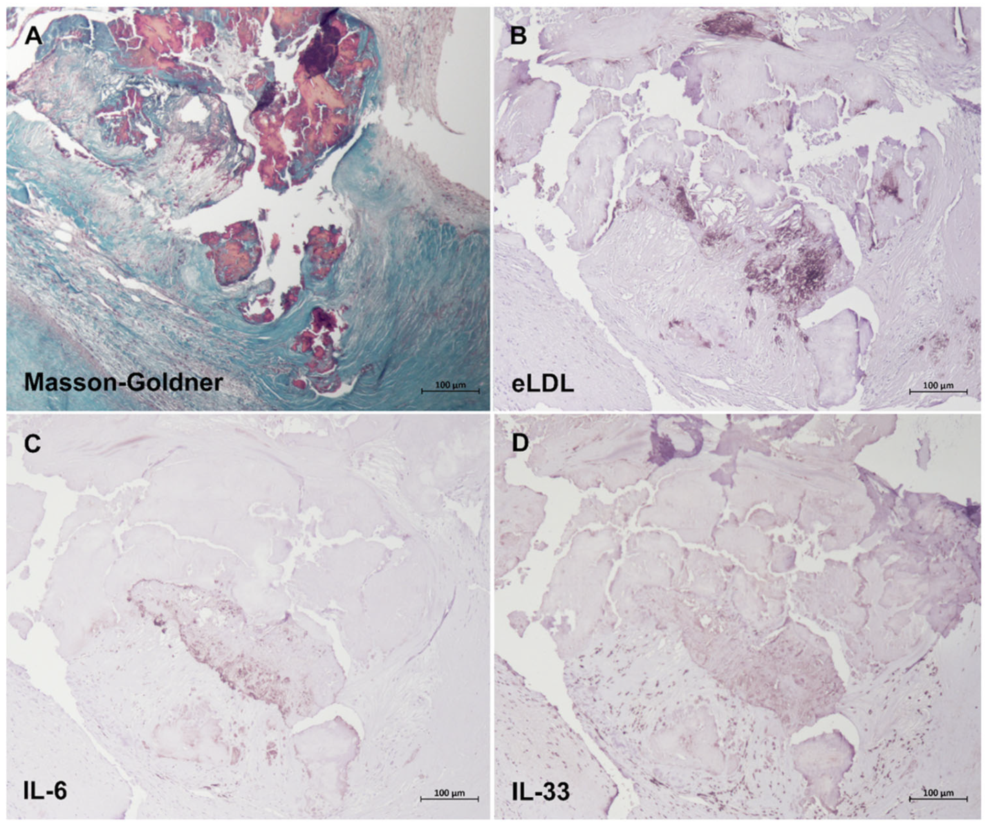 Biomolecules 13 01091 g005