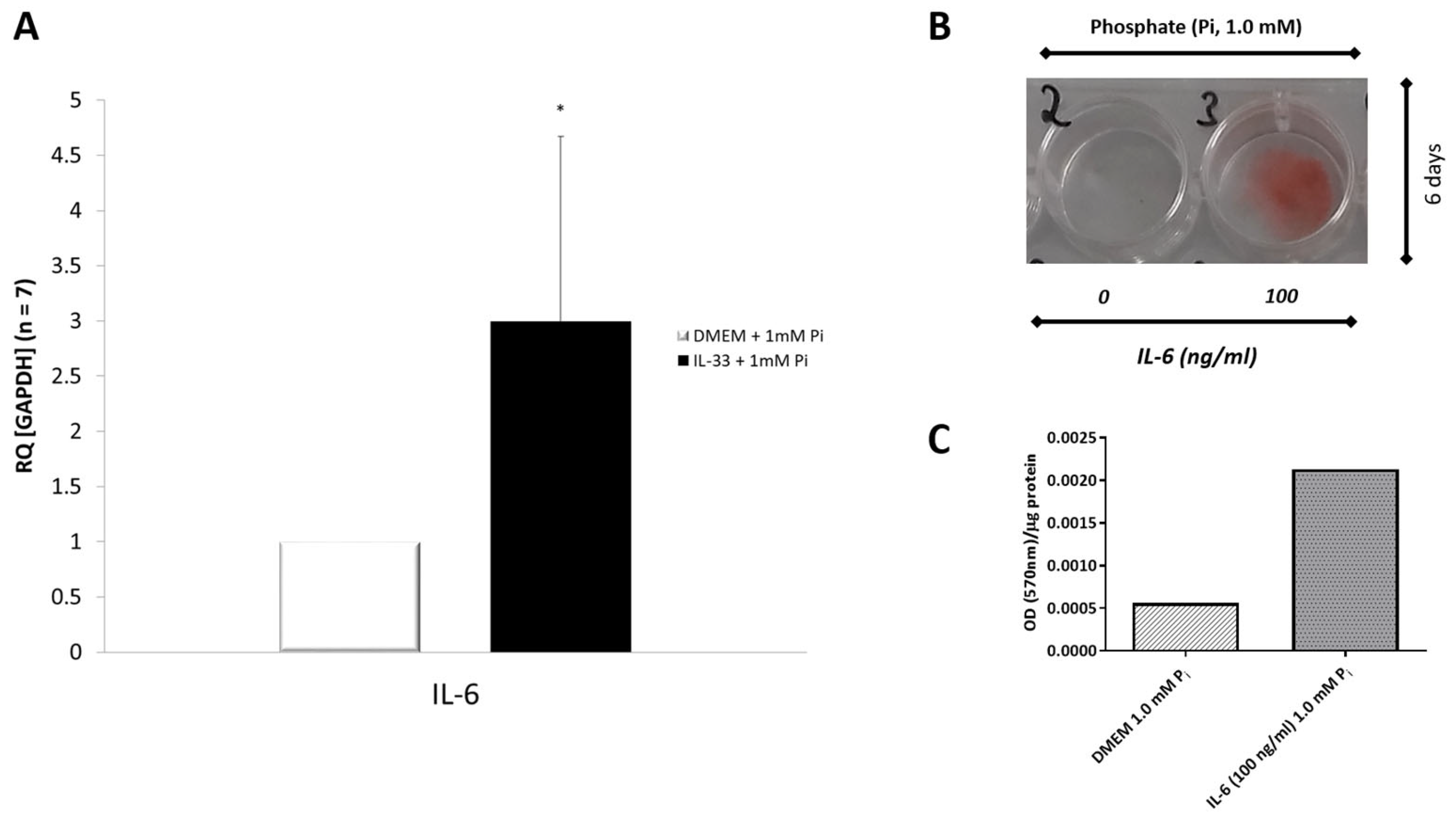 Biomolecules 13 01091 g008