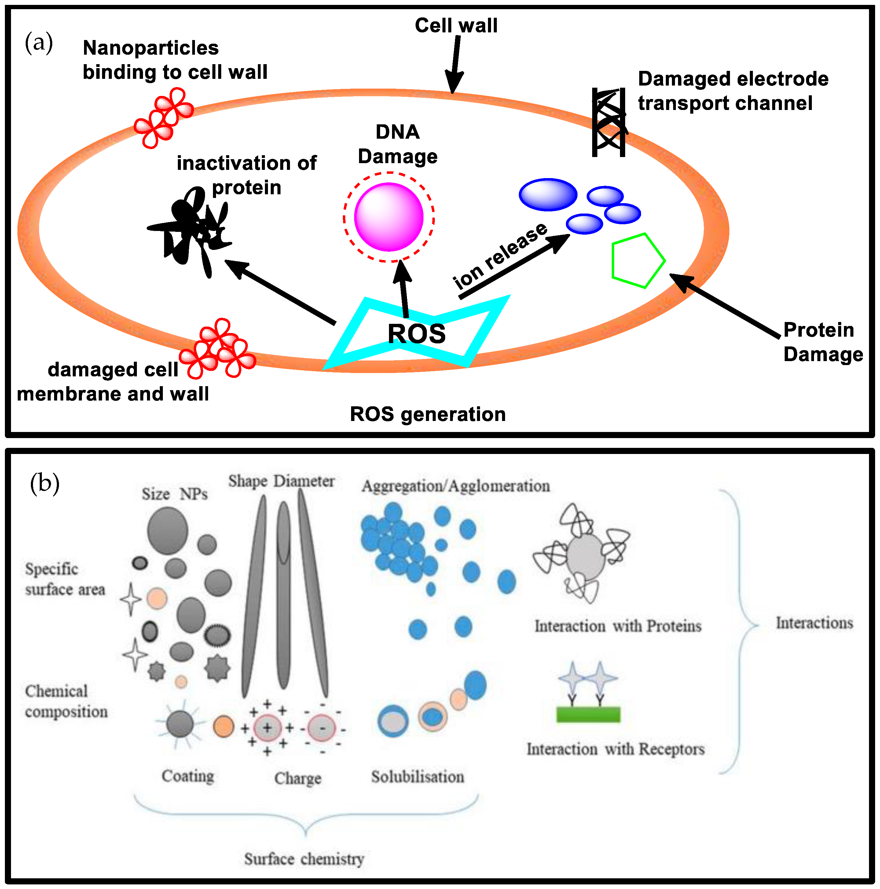 Biomolecules 13 01092 g002 Biomolecules 13 01092 g002