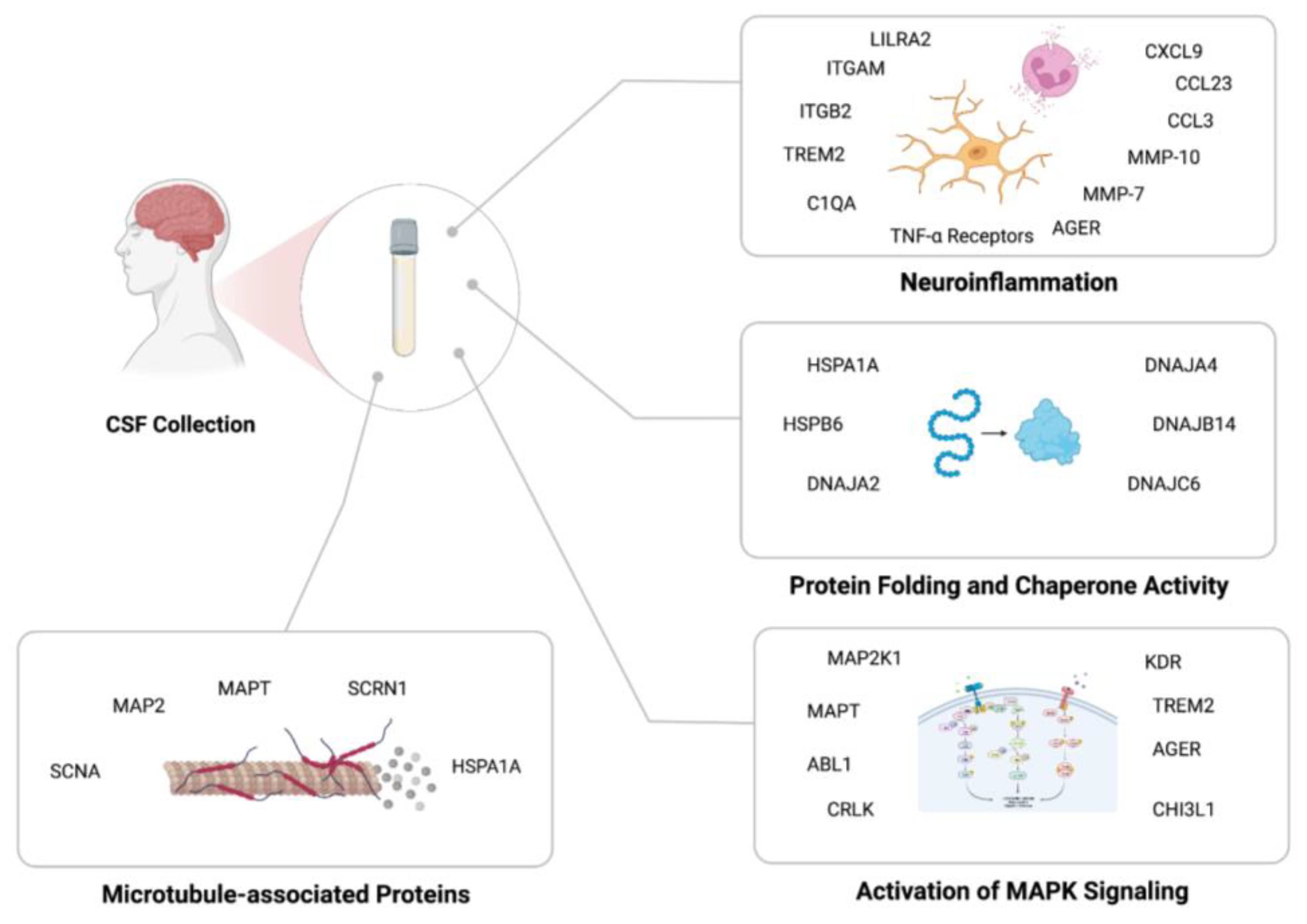 Biomolecules 13 01094 g004