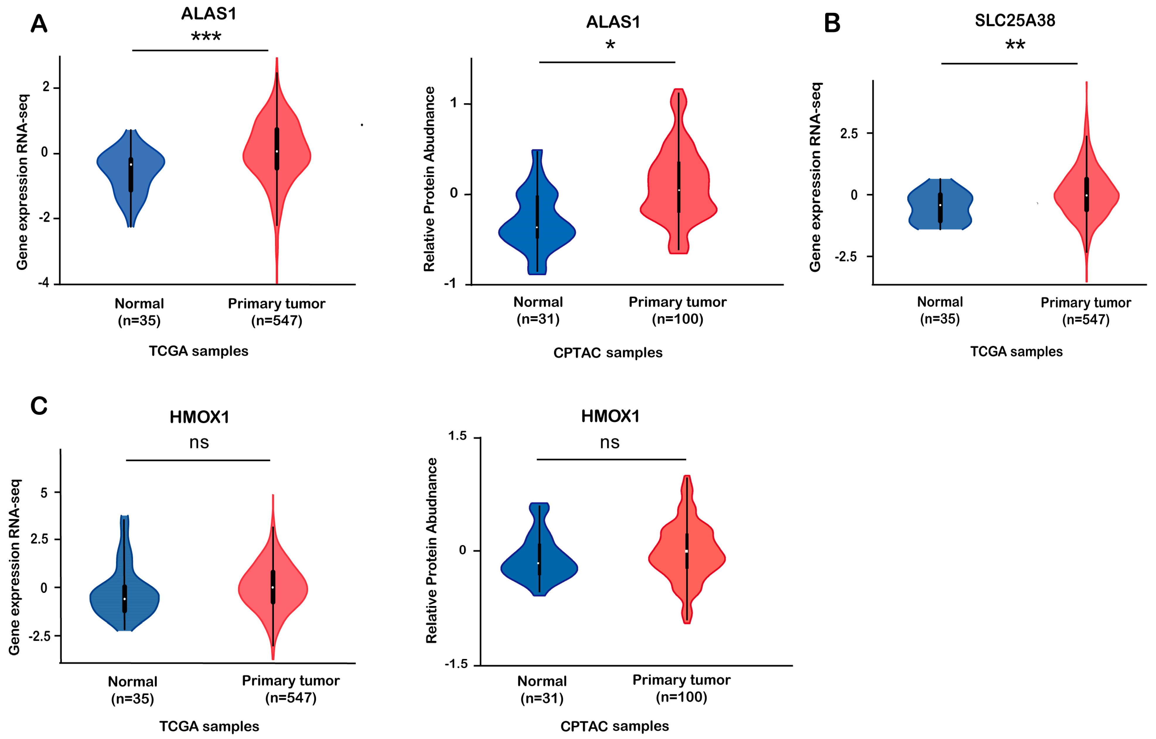 Biomolecules 13 01097 g001