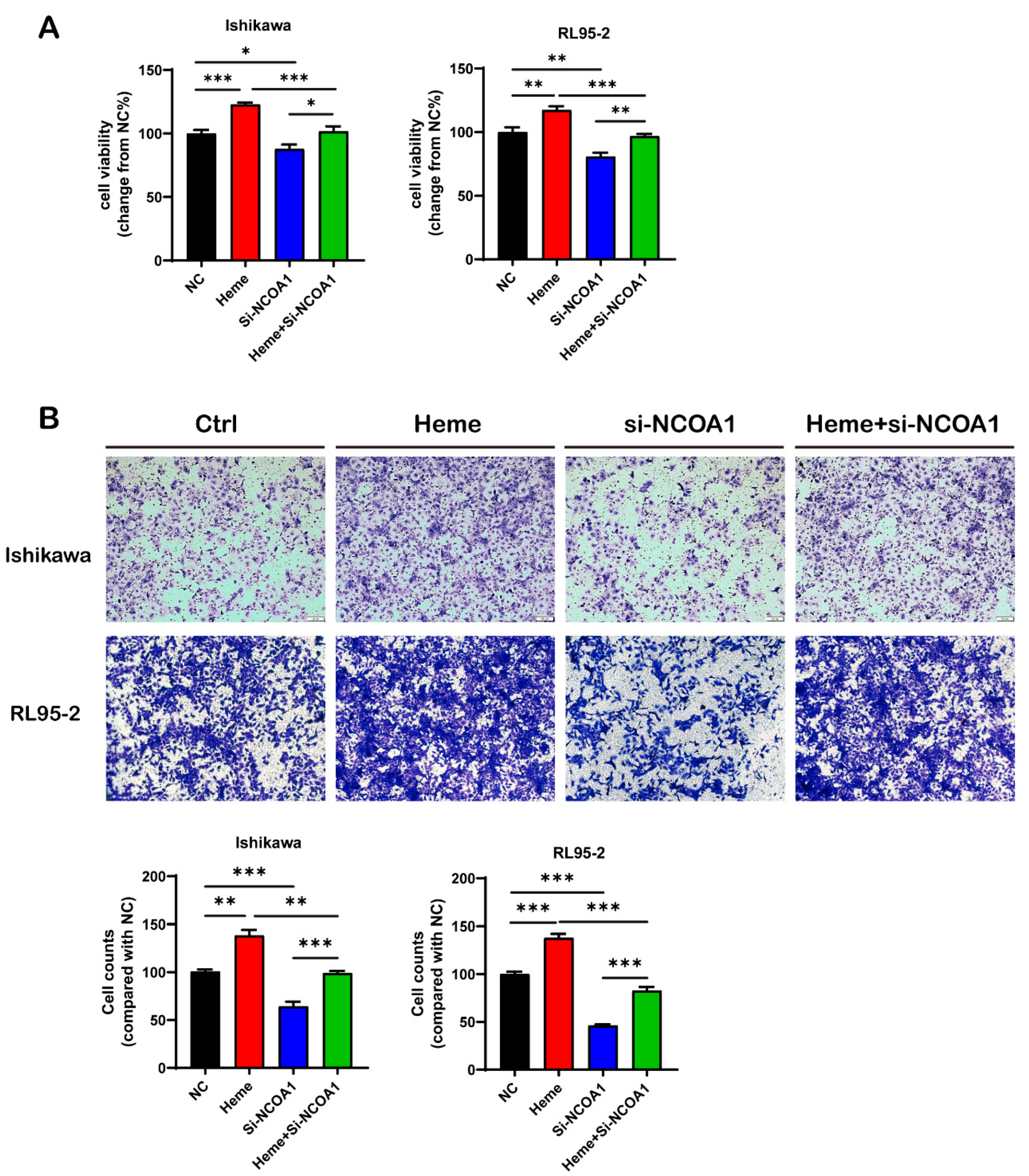 Biomolecules 13 01097 g008