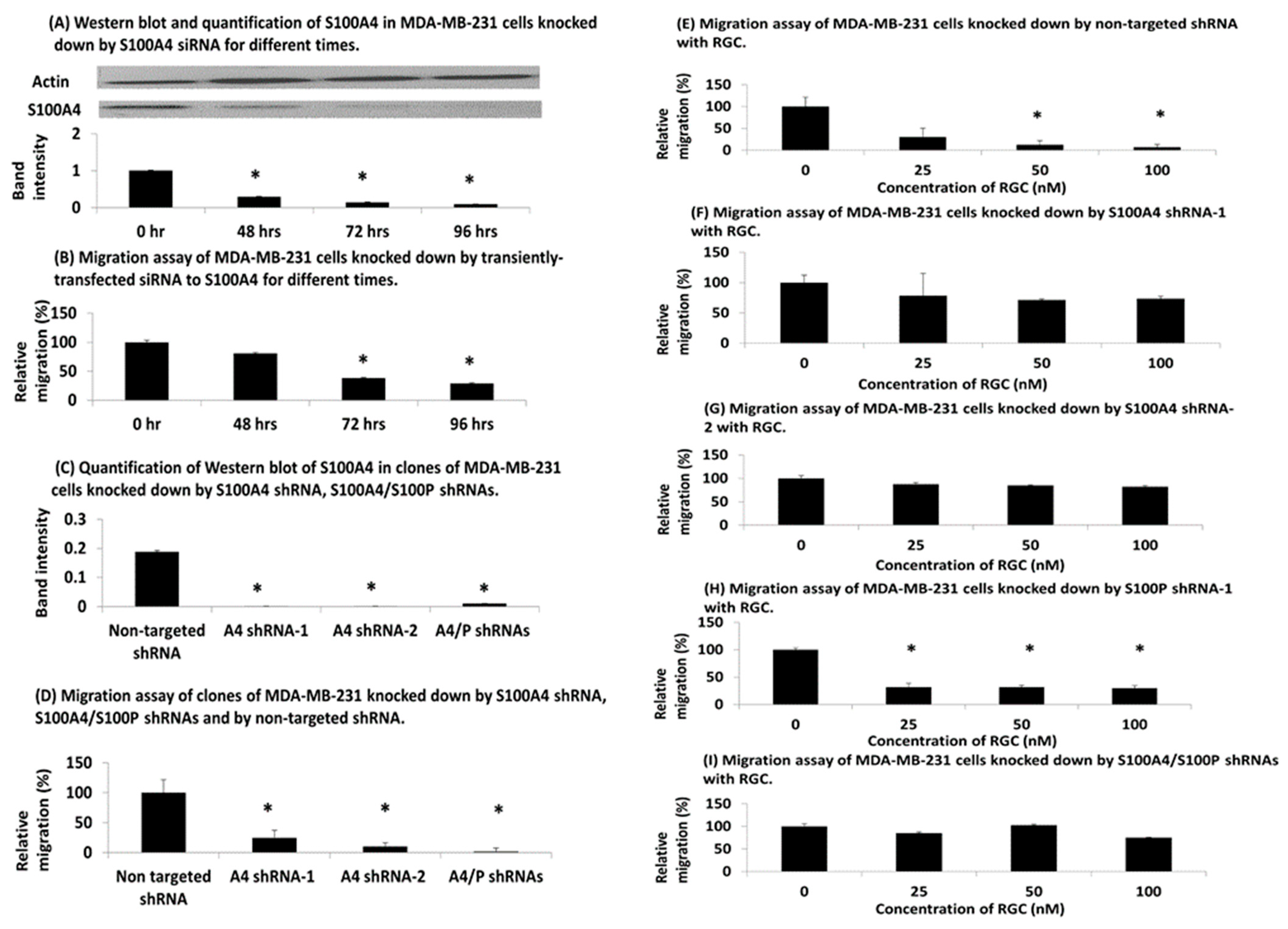 Biomolecules 13 01099 g004 Biomolecules 13 01099 g004