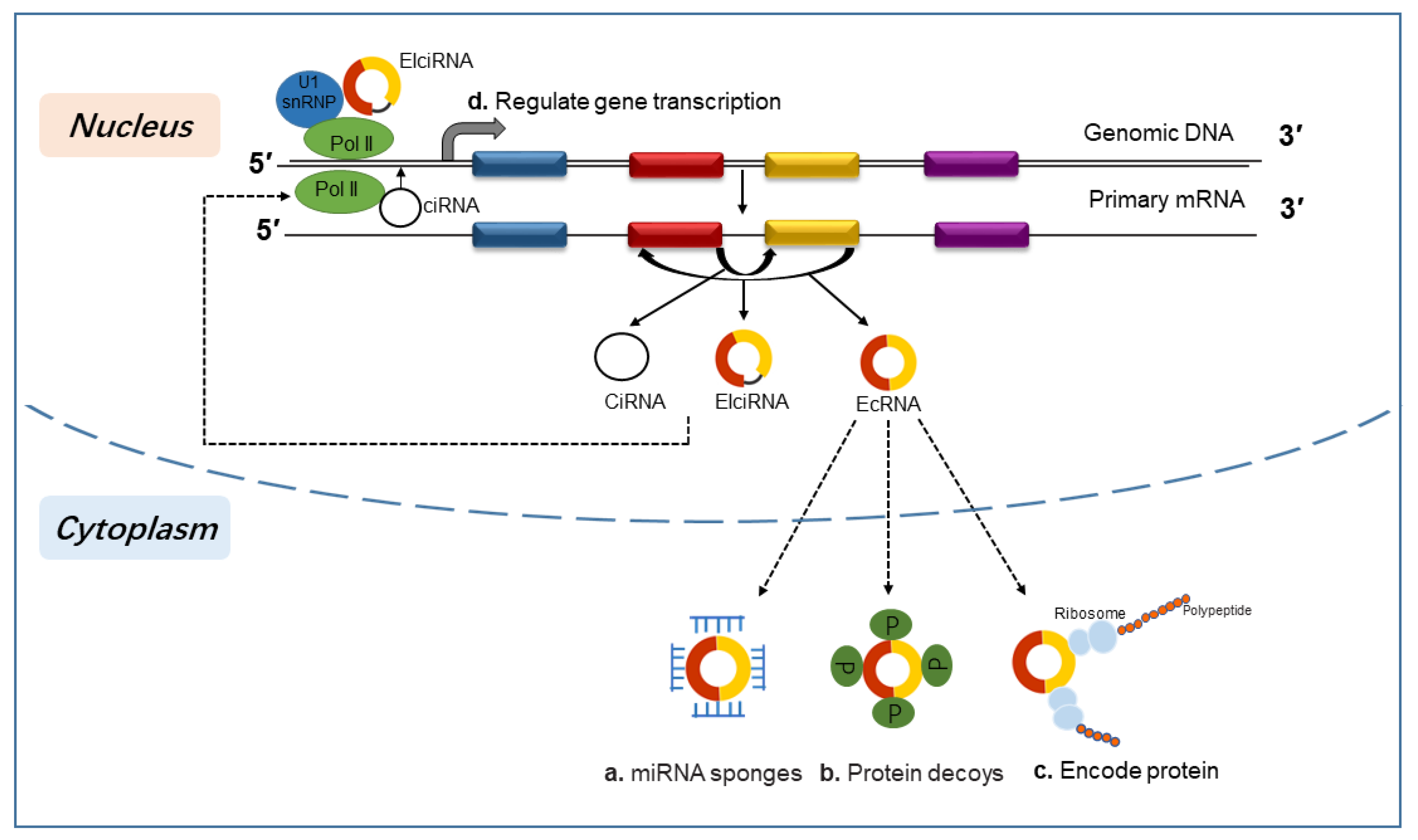 Biomolecules 13 01101 g002 Biomolecules 13 01101 g002