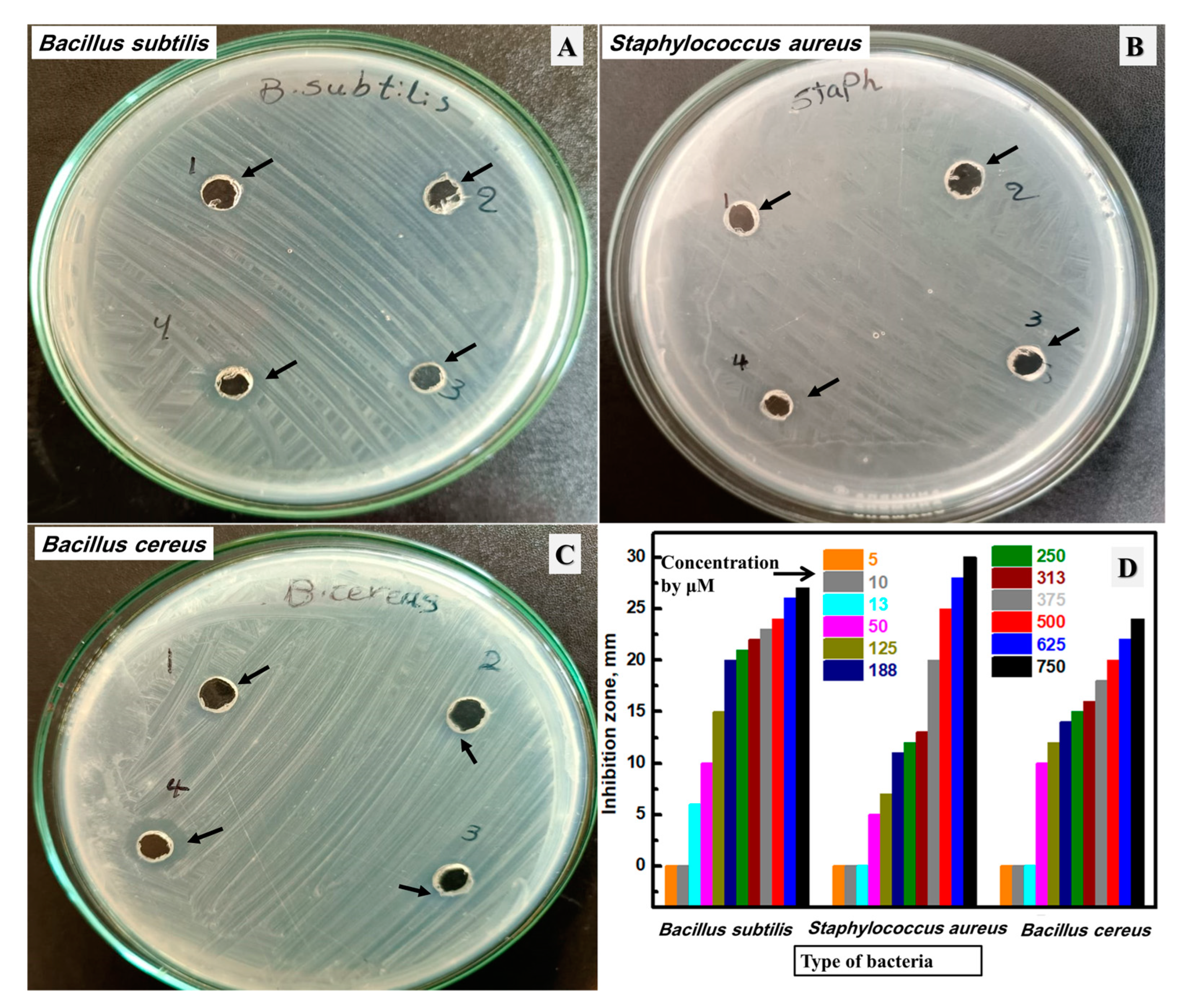 Biomolecules 13 01102 g007 Biomolecules 13 01102 g007