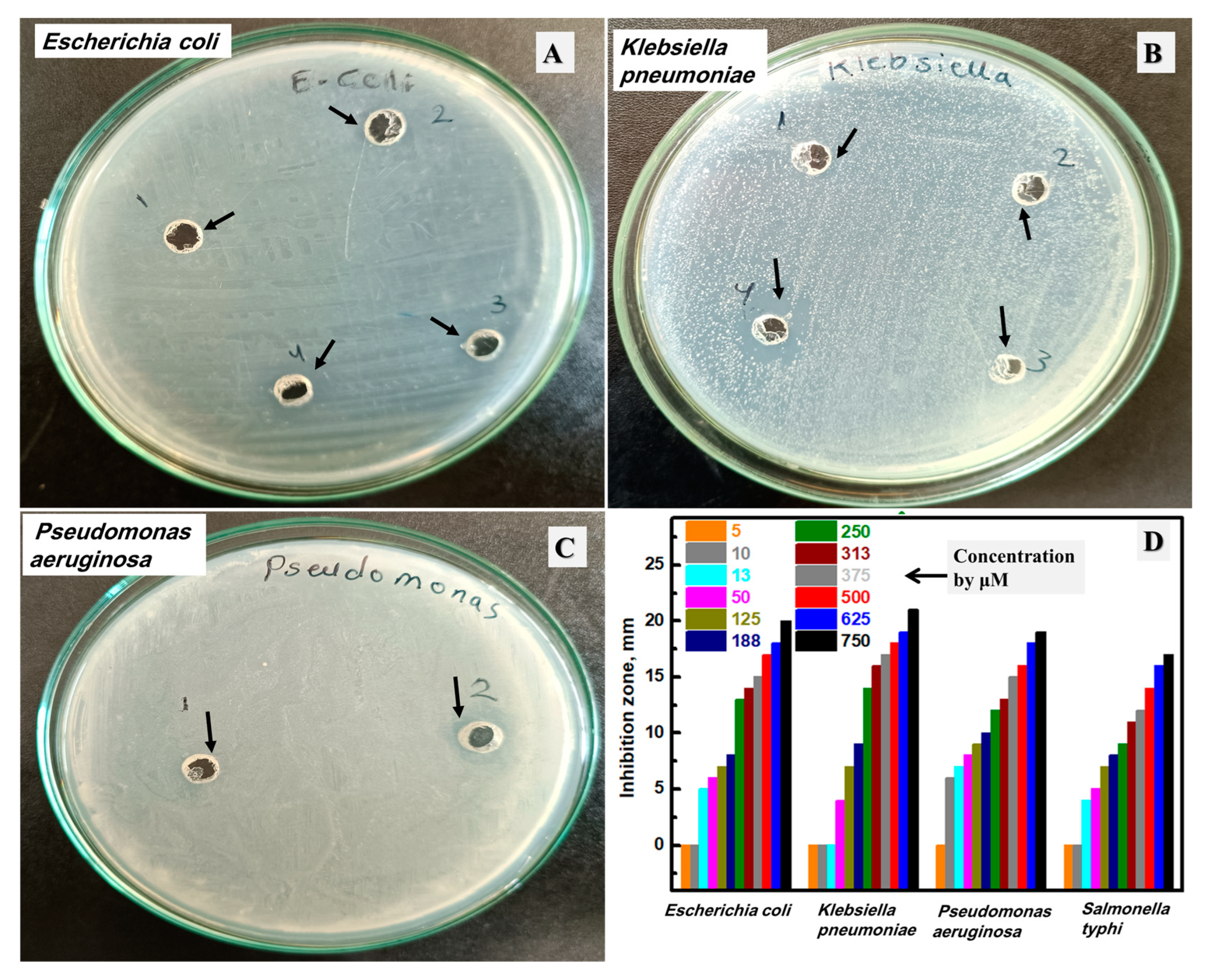 Biomolecules 13 01102 g008 Biomolecules 13 01102 g008
