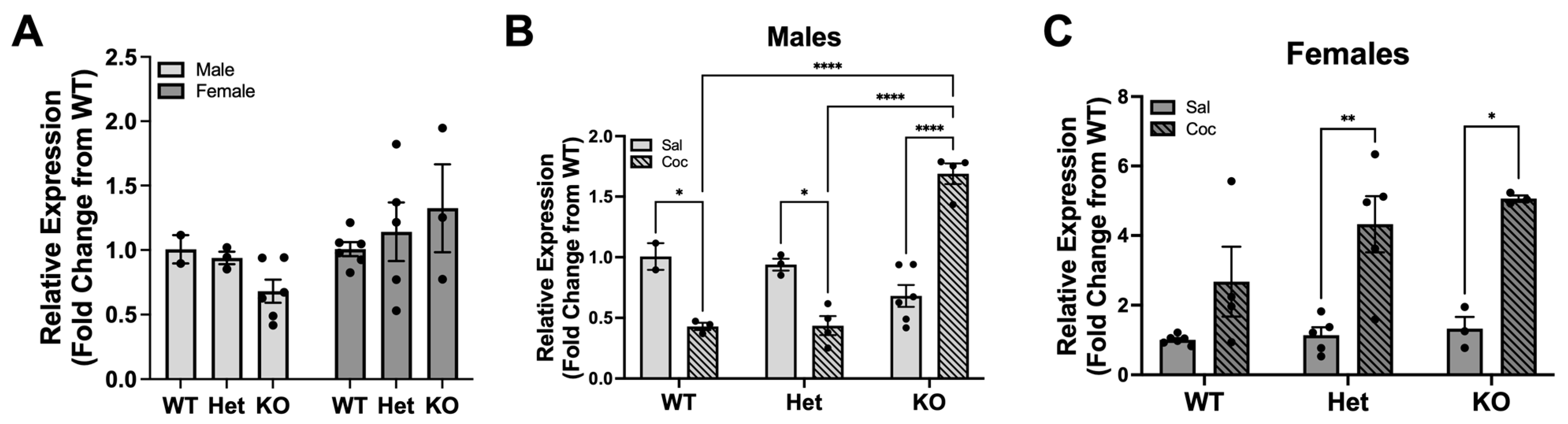Biomolecules 13 01107 g002