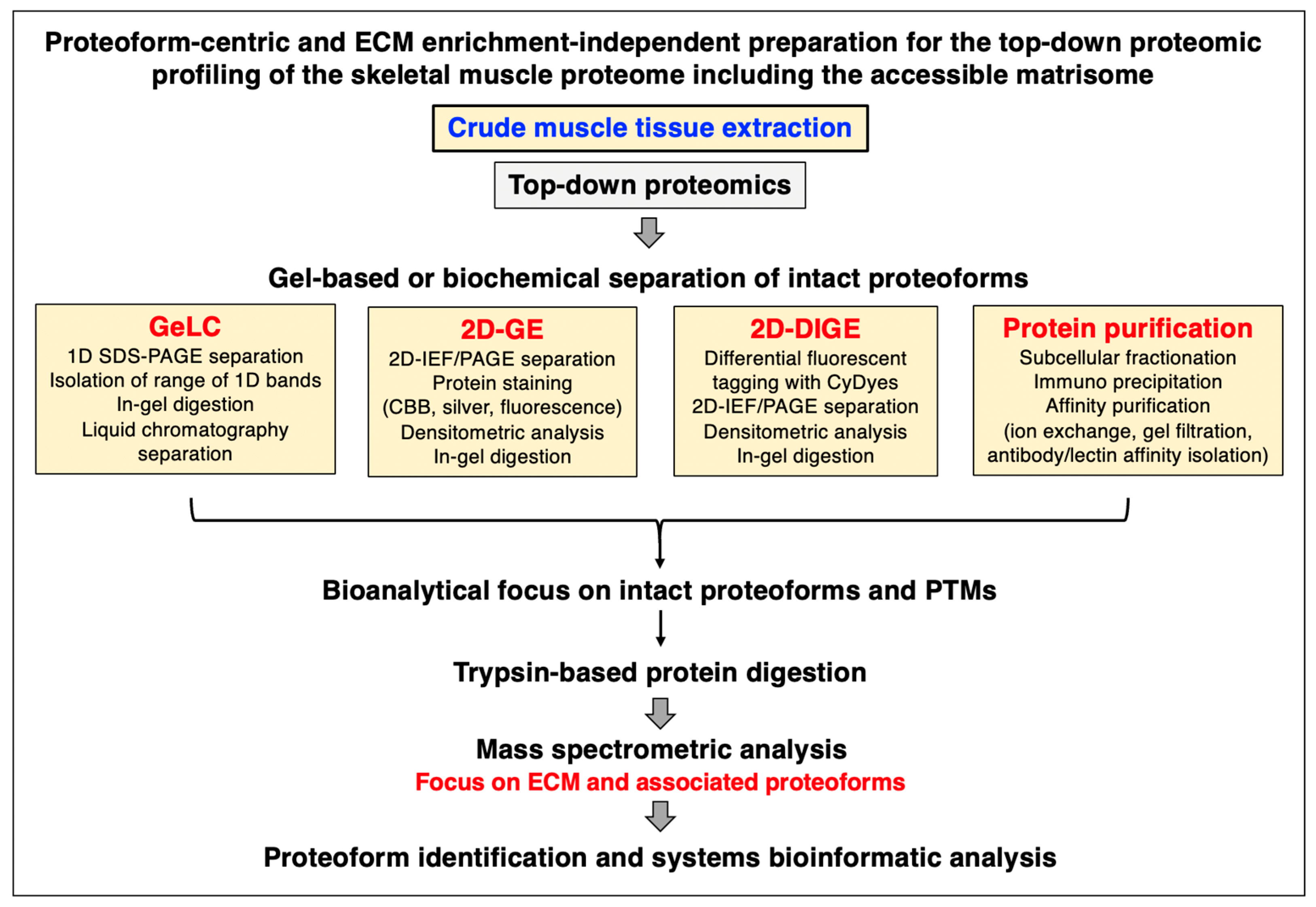 Biomolecules 13 01108 g002 Biomolecules 13 01108 g002