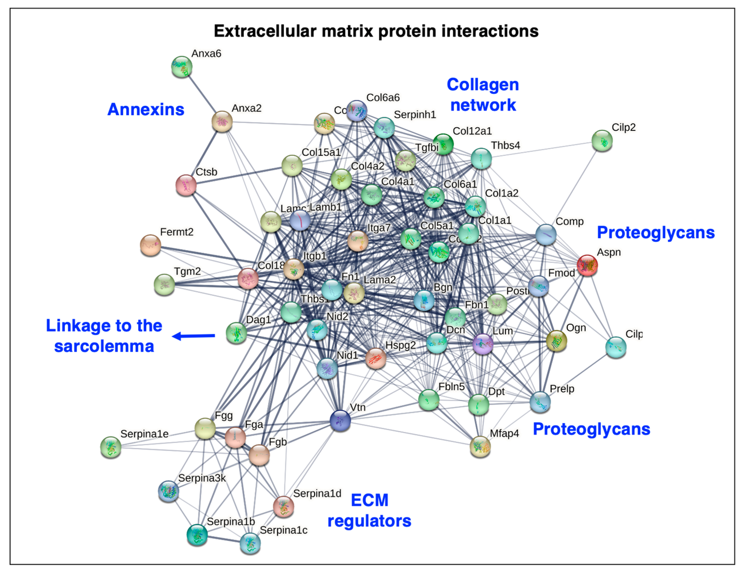Biomolecules 13 01108 g005 Biomolecules 13 01108 g005