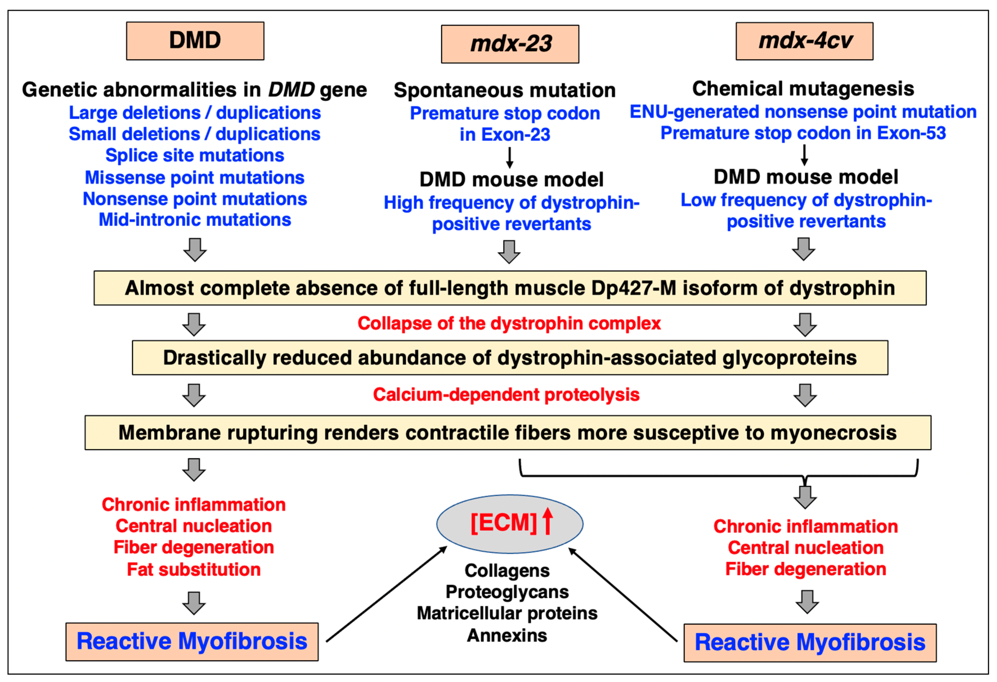 Biomolecules 13 01108 g006 Biomolecules 13 01108 g006