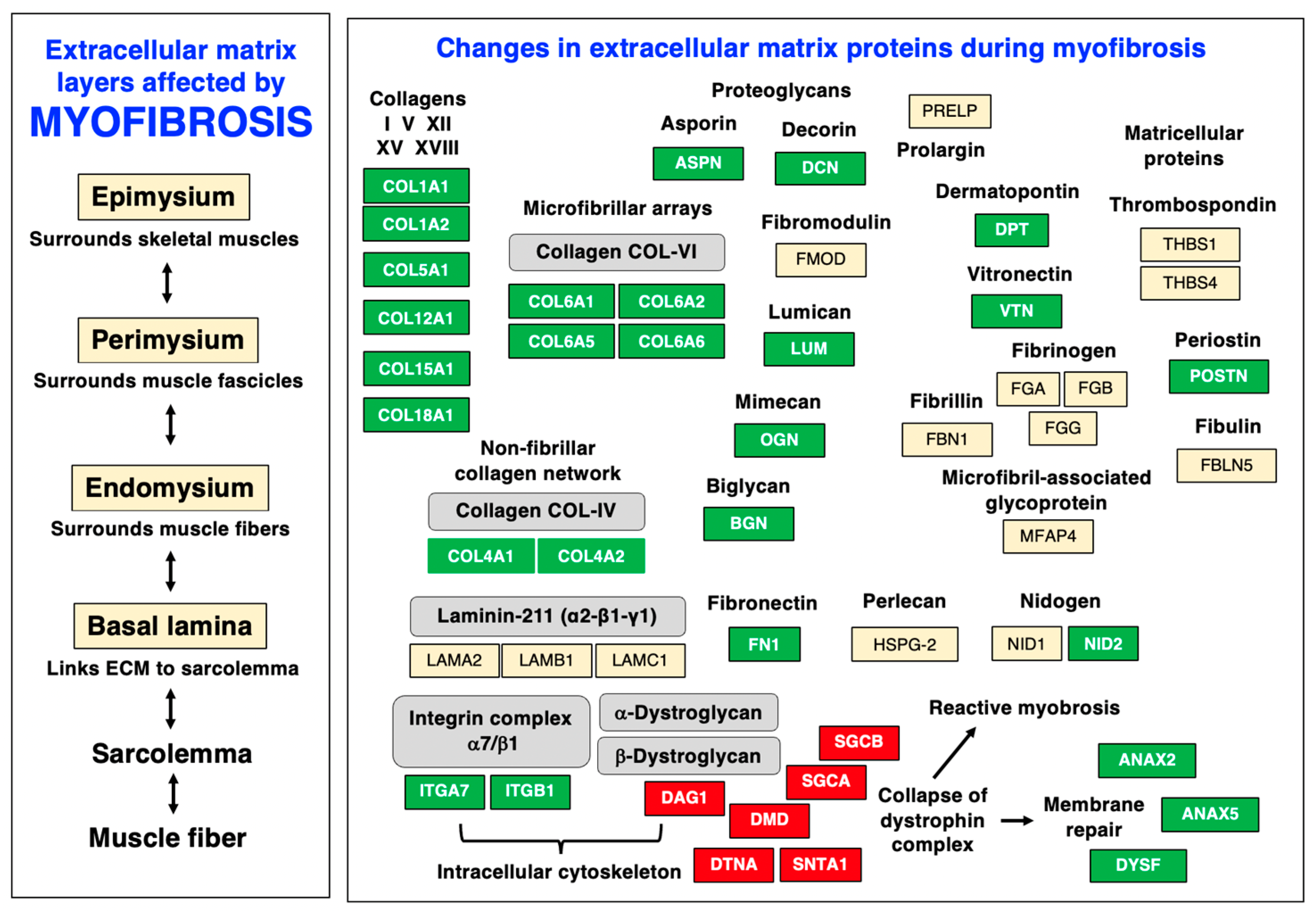 Biomolecules 13 01108 g009 Biomolecules 13 01108 g009