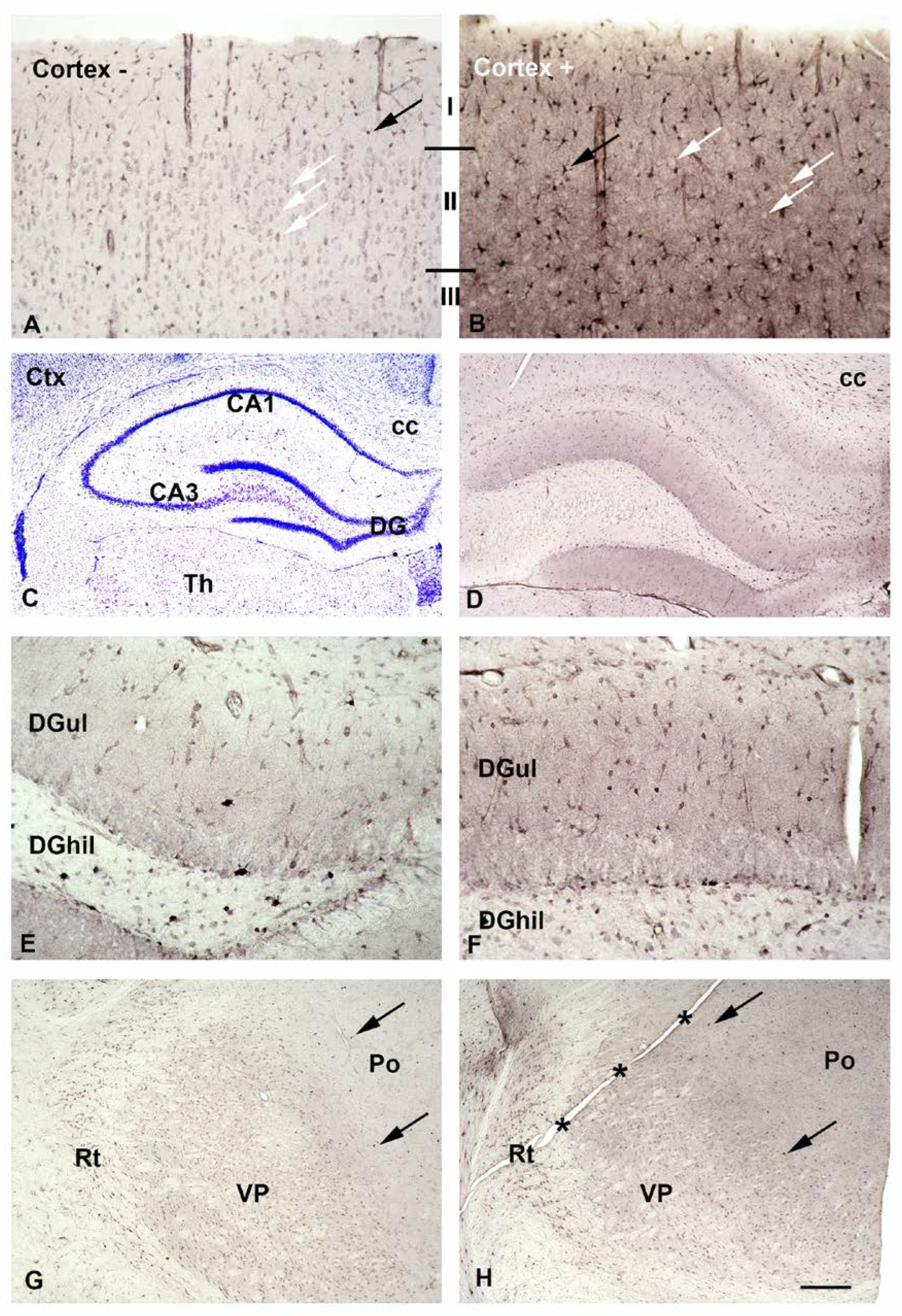 Biomolecules 13 01114 g003 Biomolecules 13 01114 g003