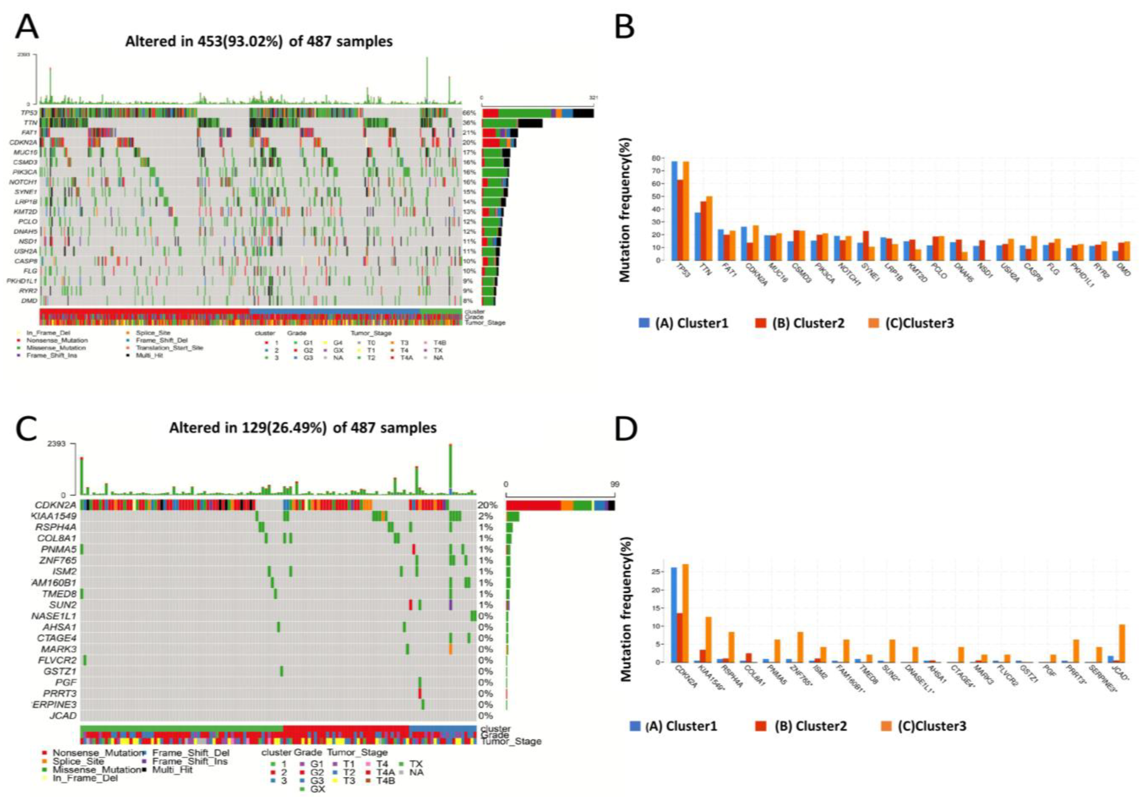 Biomolecules 13 01120 g003 Biomolecules 13 01120 g003