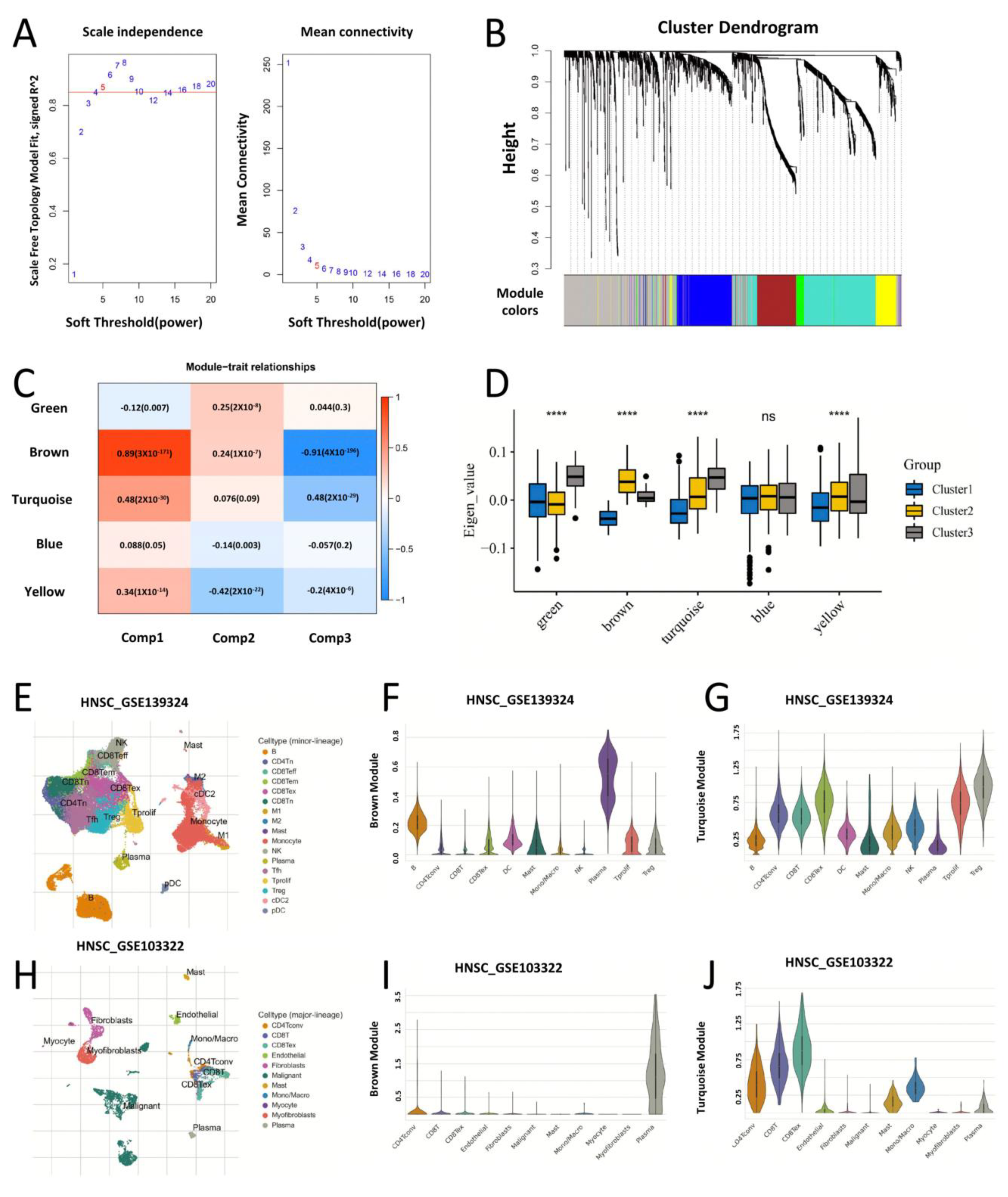 Biomolecules 13 01120 g008 Biomolecules 13 01120 g008