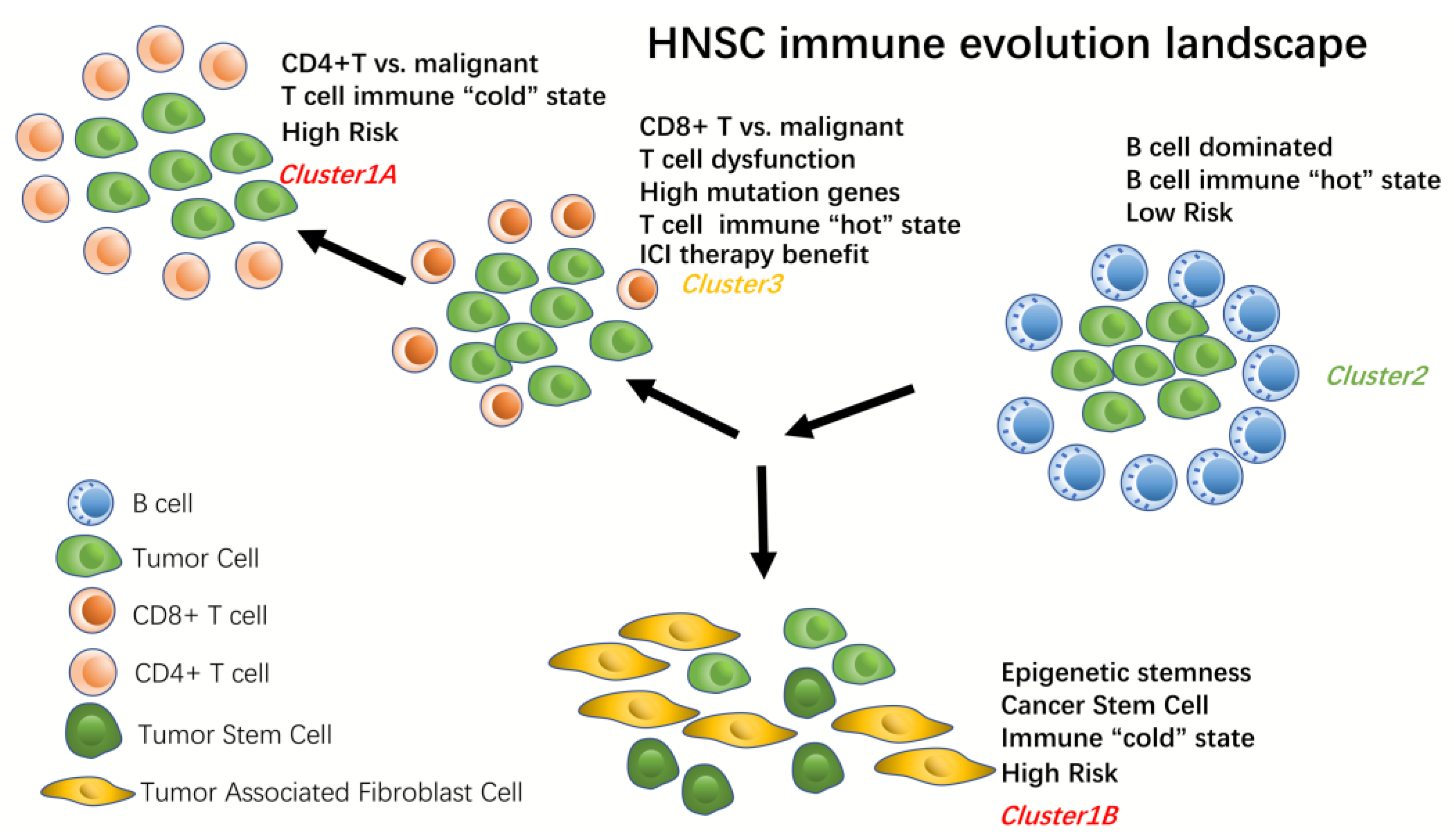 Biomolecules 13 01120 g010 Biomolecules 13 01120 g010