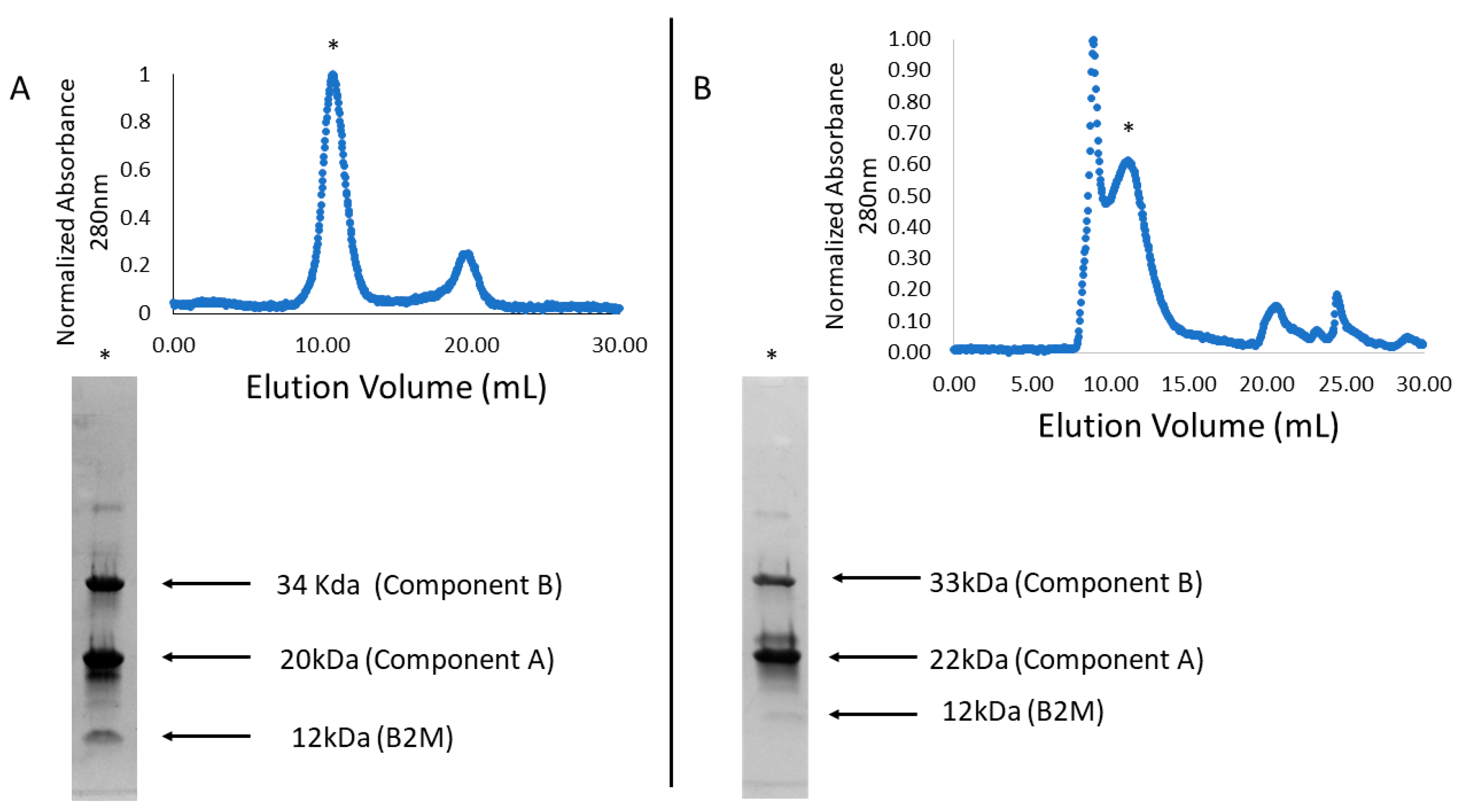 Biomolecules 13 01122 g002 Biomolecules 13 01122 g002
