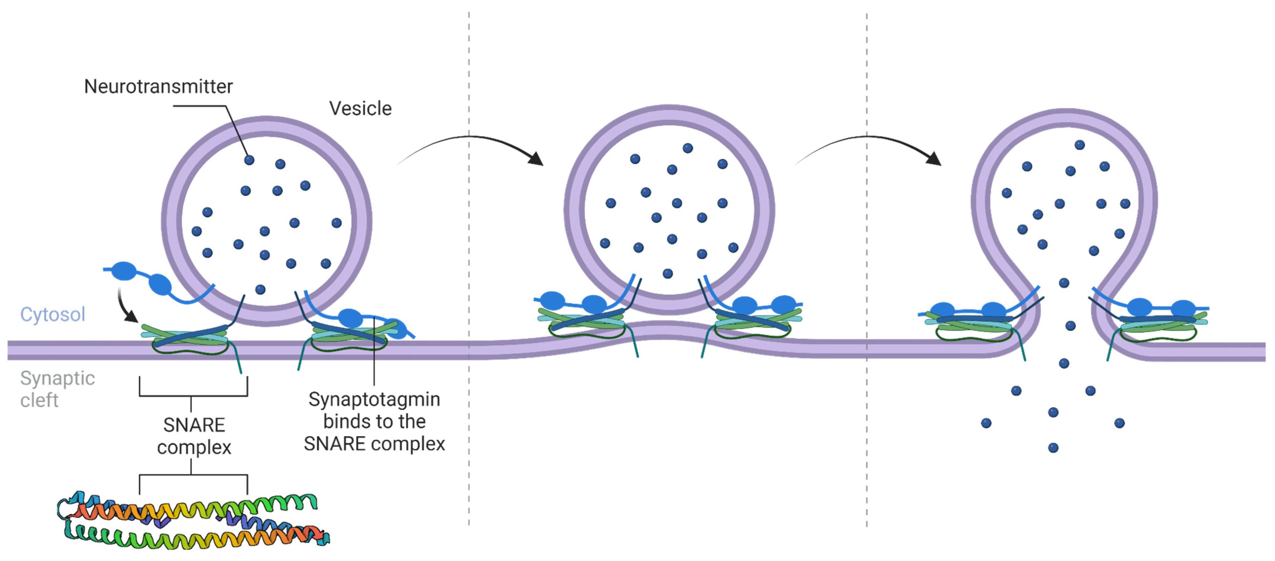 Biomolecules 13 01130 g002