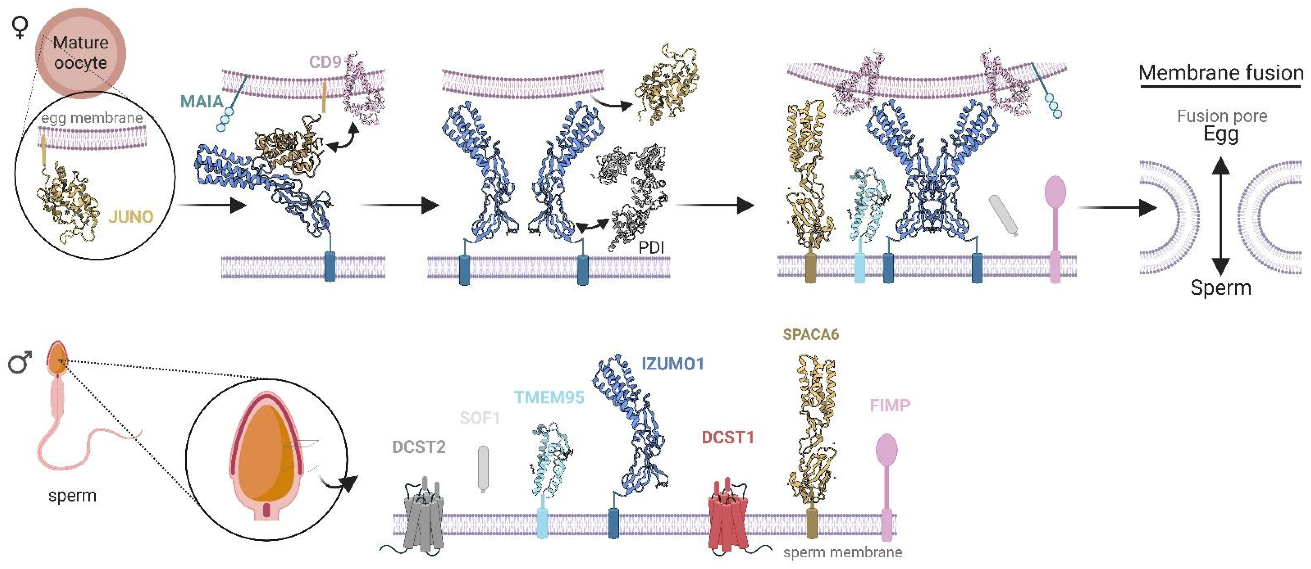 Biomolecules 13 01130 g006