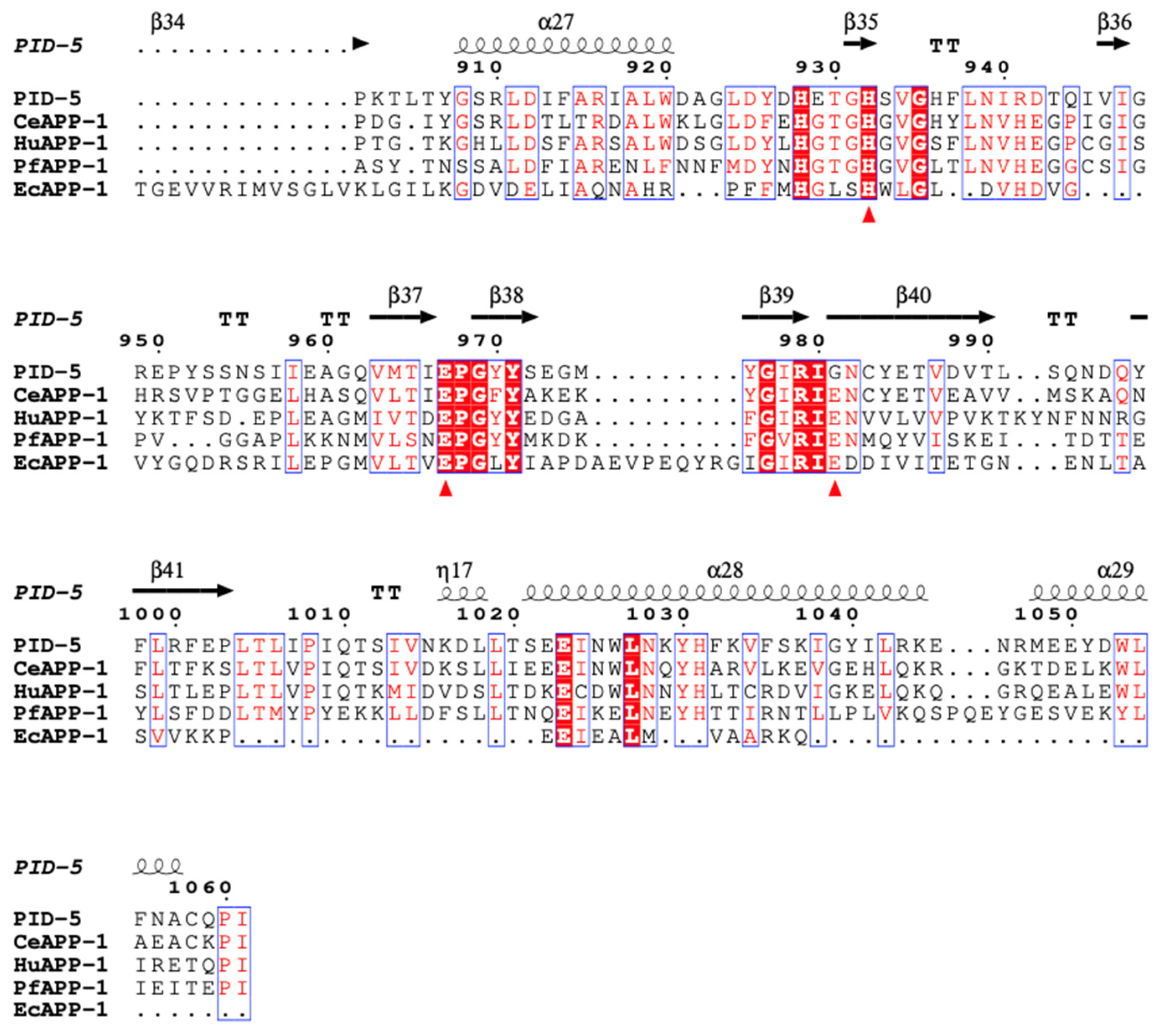 Biomolecules 13 01132 g004b Biomolecules 13 01132 g004b