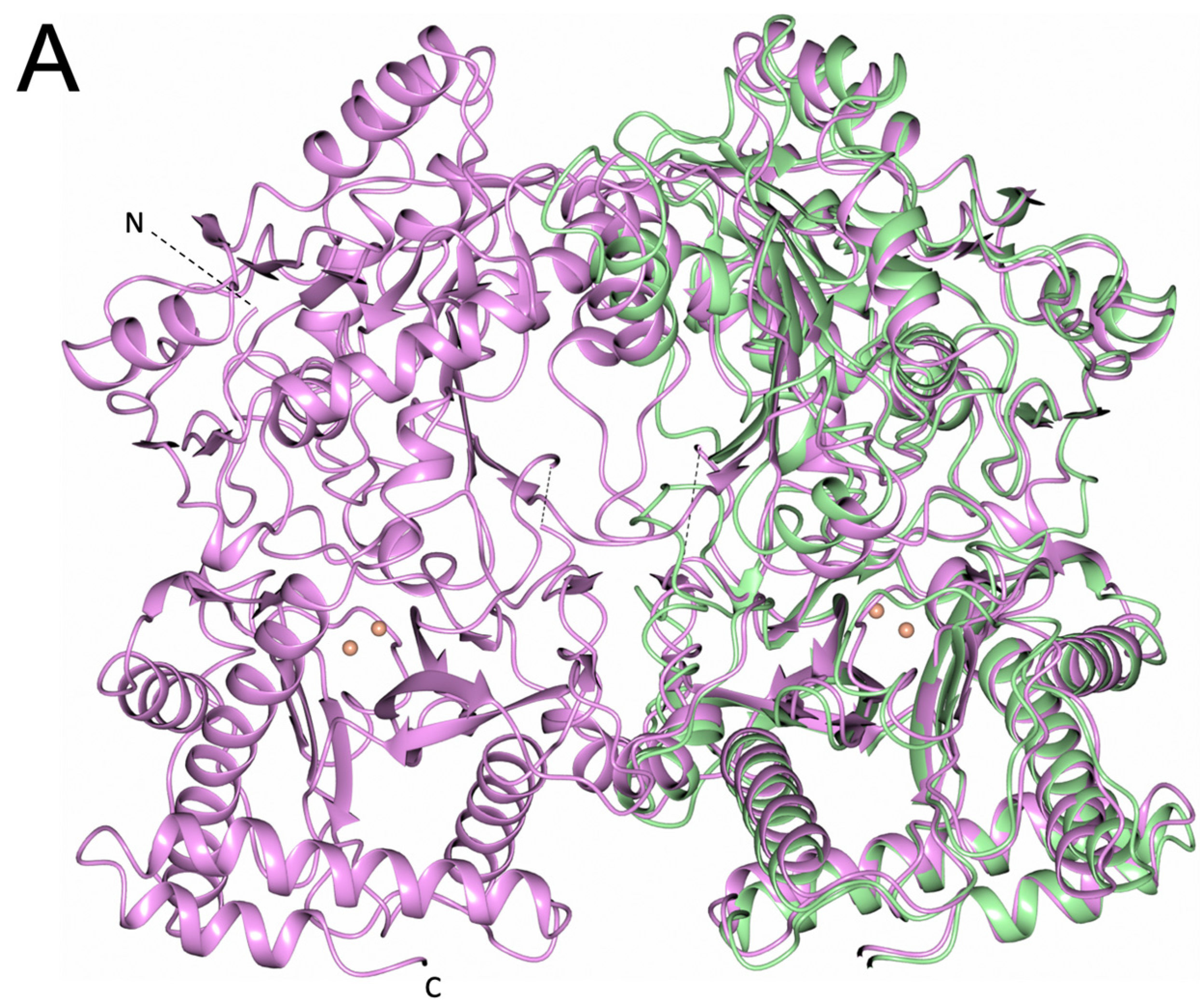 Biomolecules 13 01132 g006a Biomolecules 13 01132 g006a