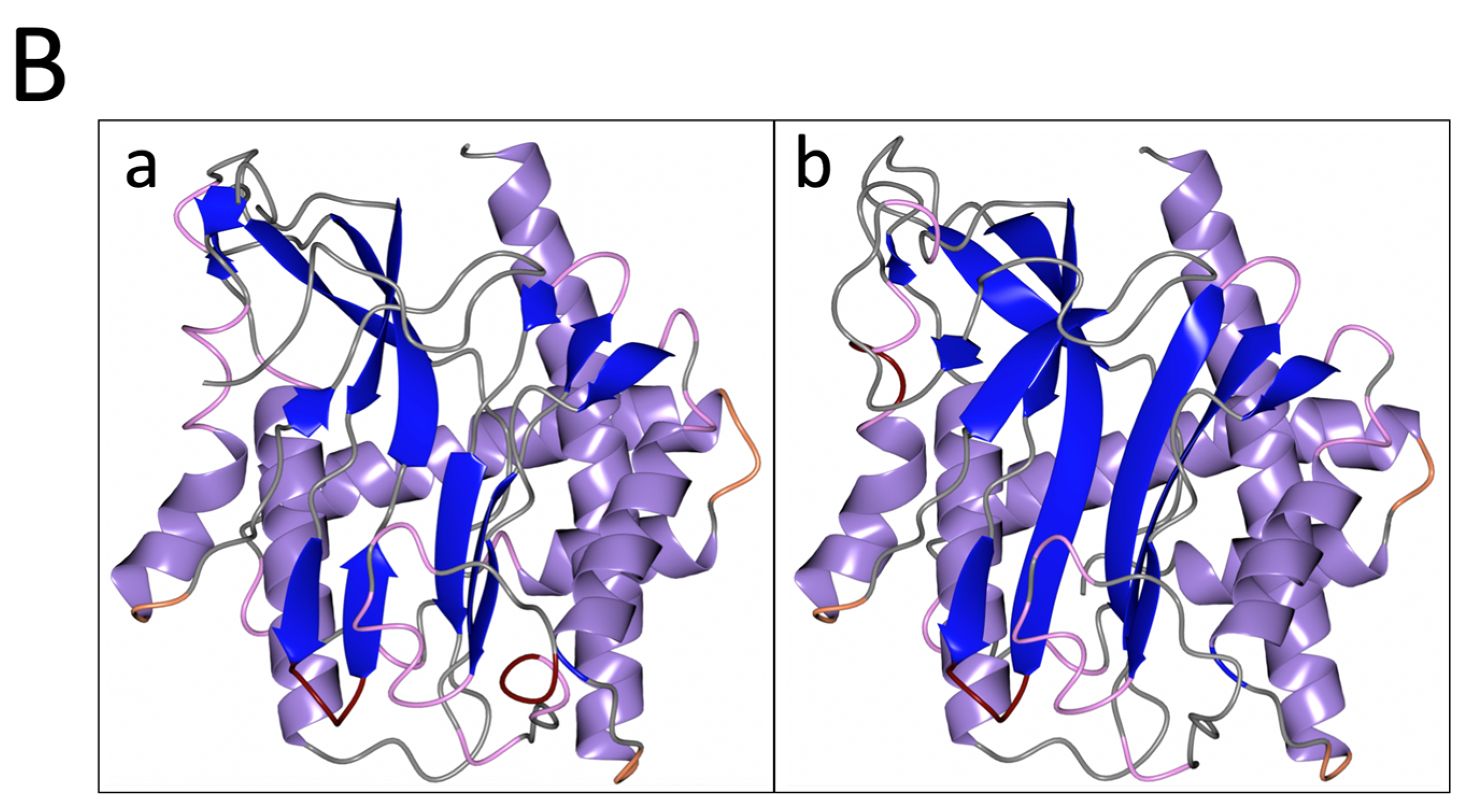 Biomolecules 13 01132 g006b Biomolecules 13 01132 g006b