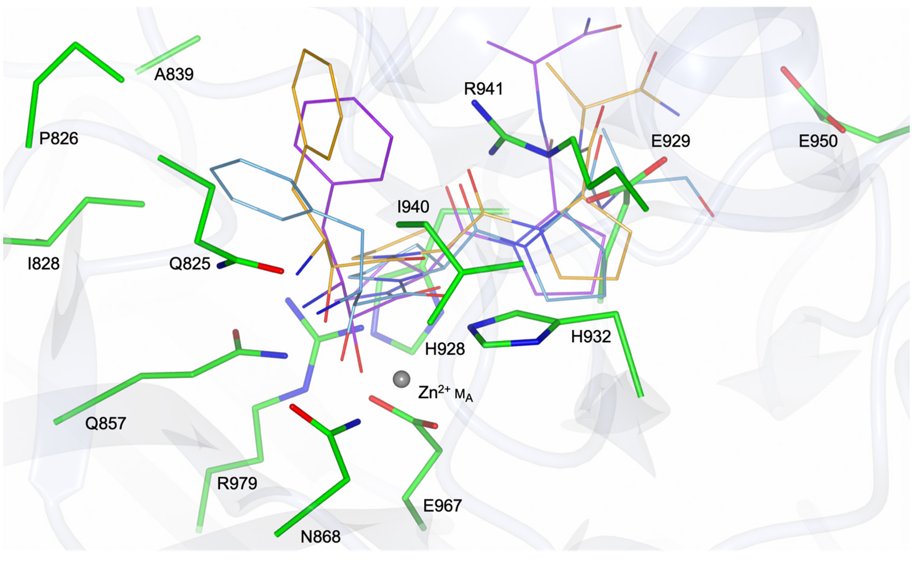 Biomolecules 13 01132 g009 Biomolecules 13 01132 g009