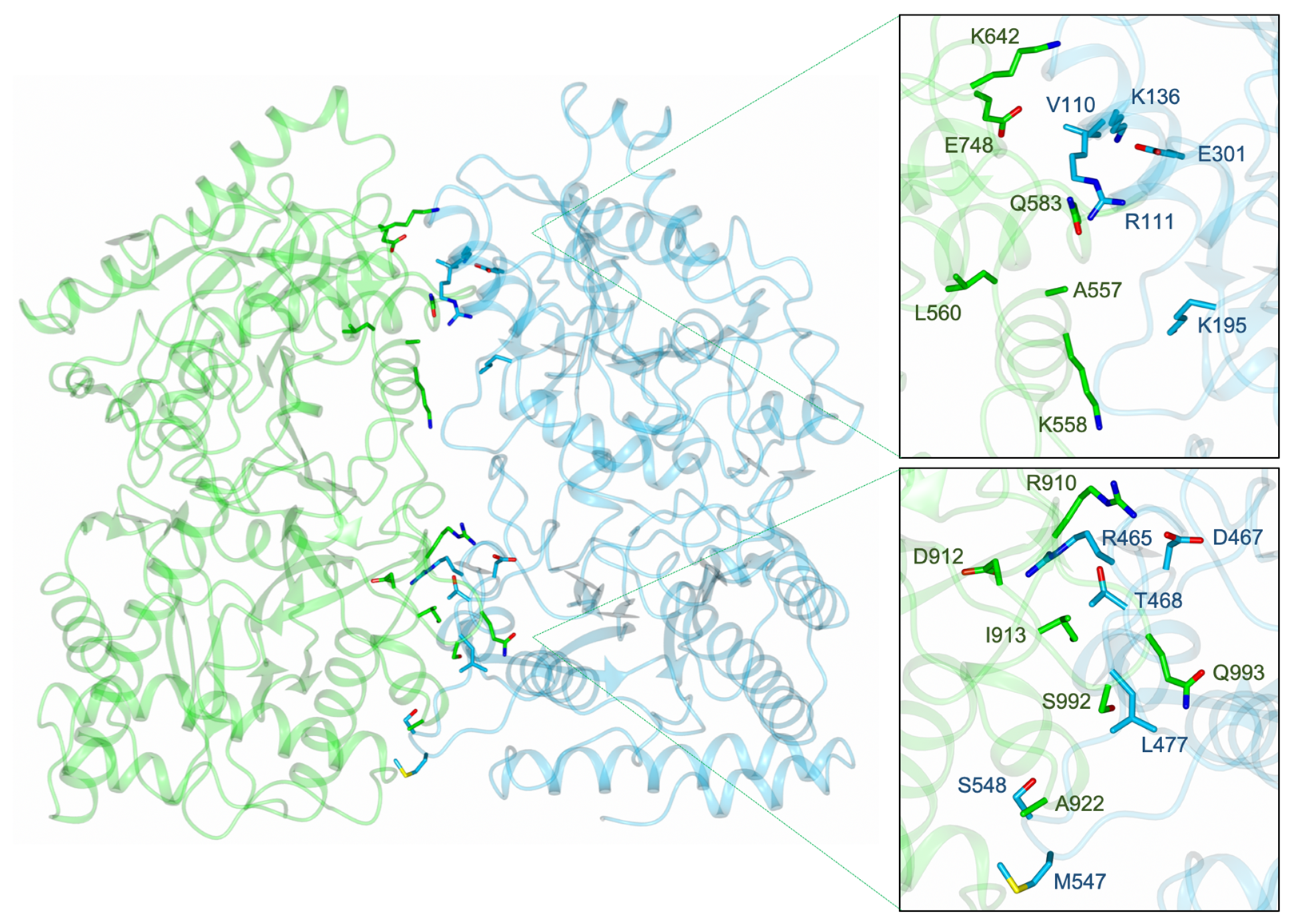Biomolecules 13 01132 g012 Biomolecules 13 01132 g012