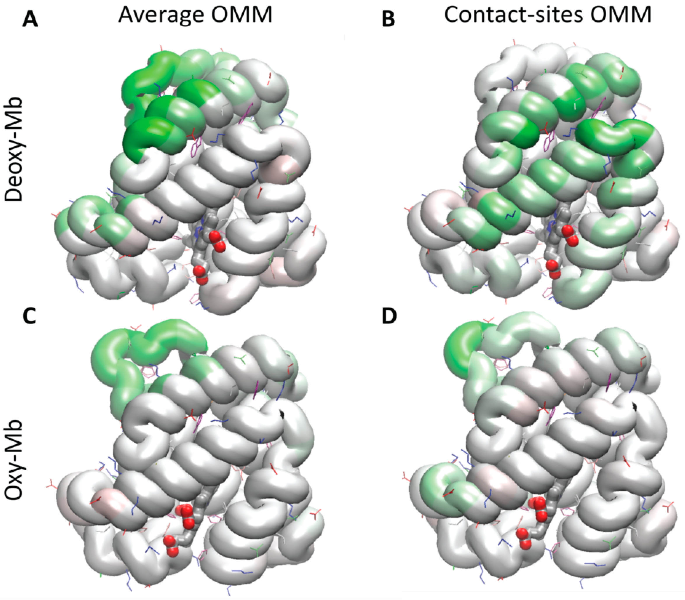 Biomolecules 13 01138 g004 Biomolecules 13 01138 g004