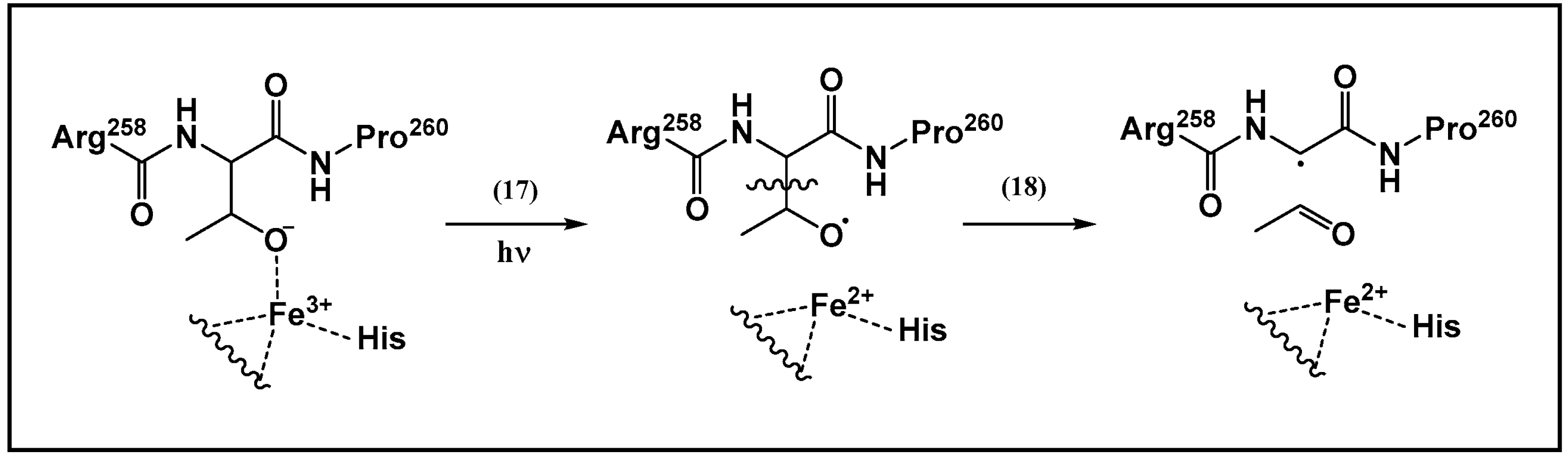 Biomolecules 13 01142 sch002 Biomolecules 13 01142 sch002
