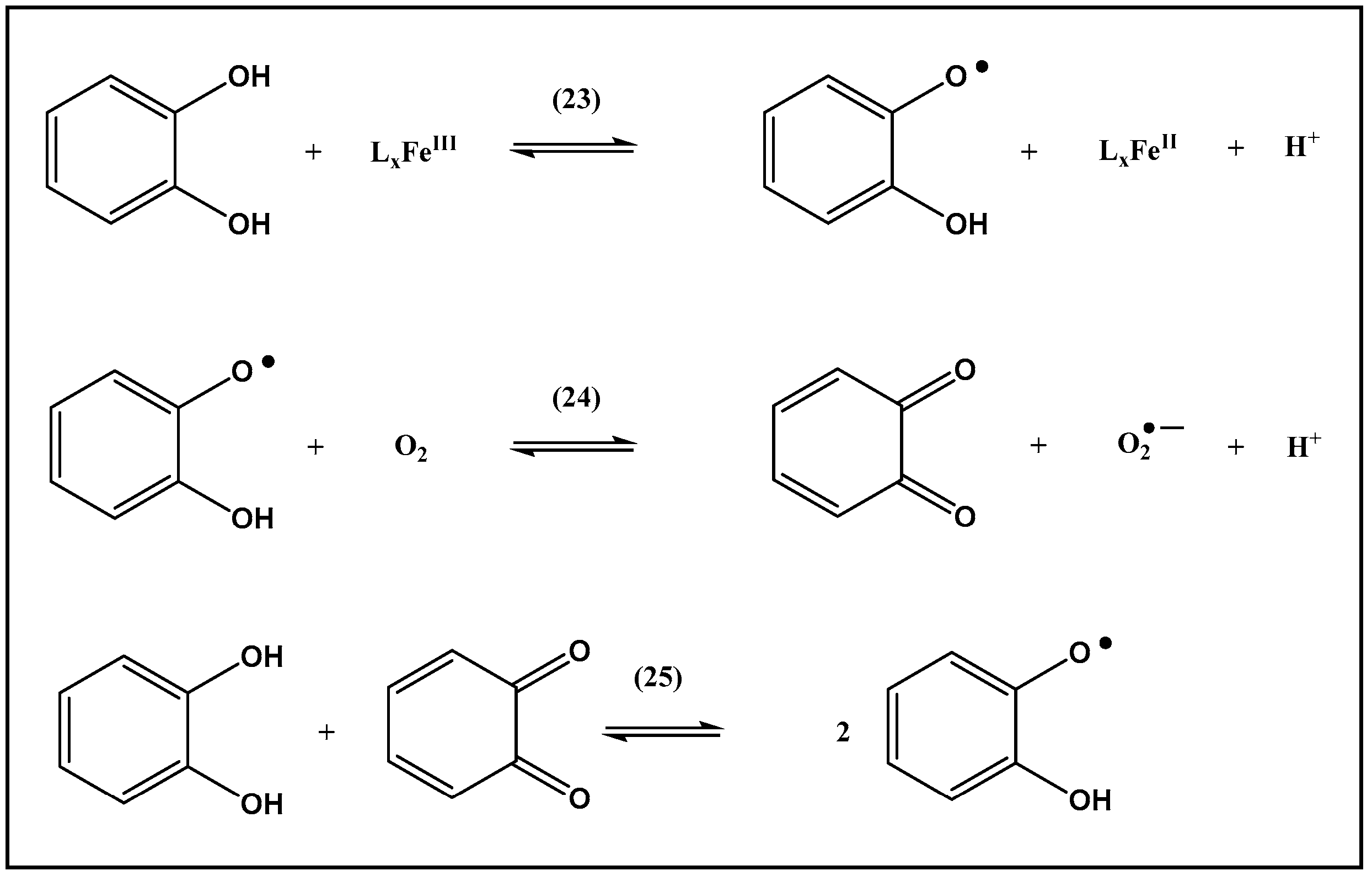 Biomolecules 13 01142 sch003 Biomolecules 13 01142 sch003