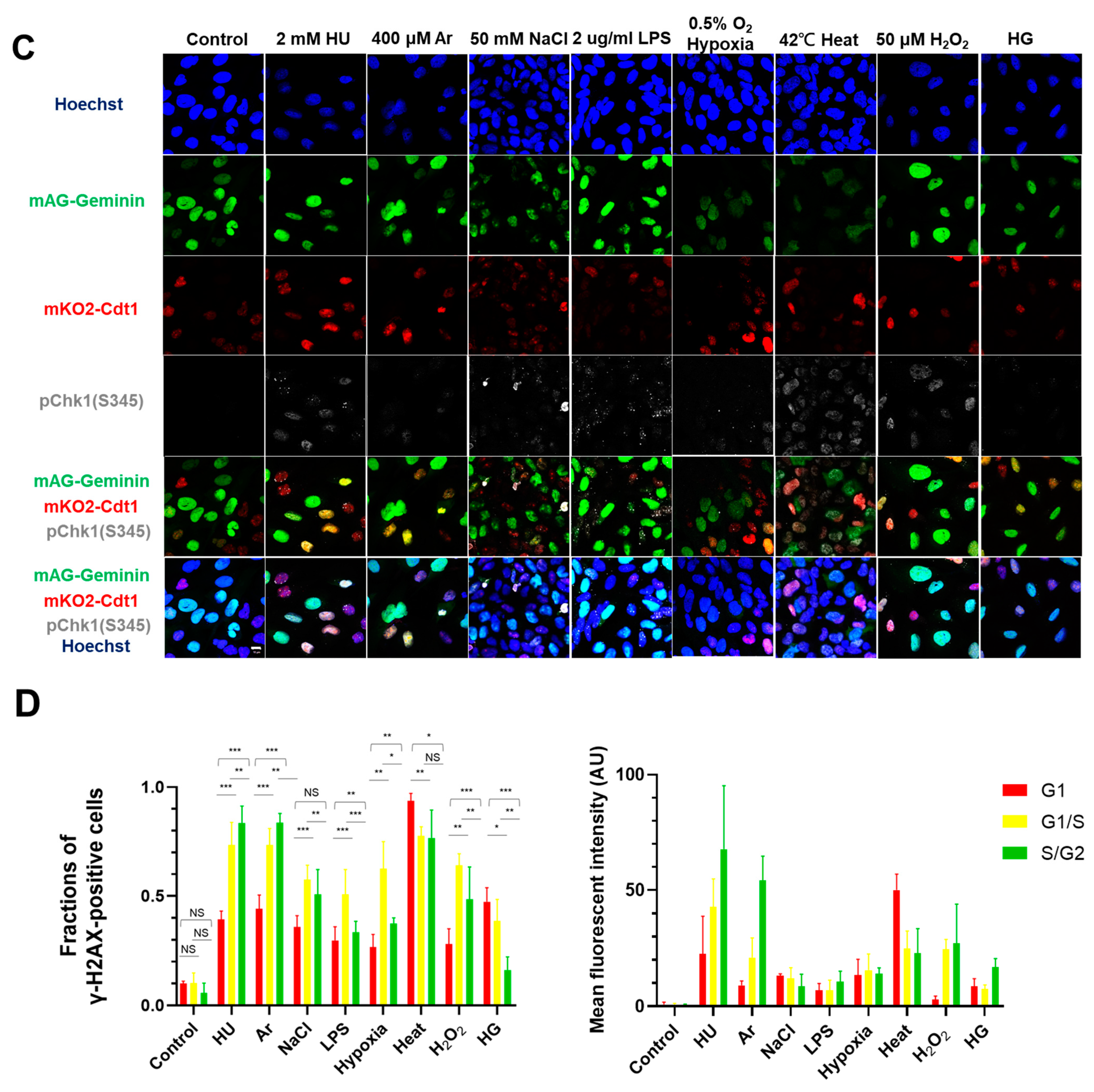 Biomolecules 13 01145 g001b 550