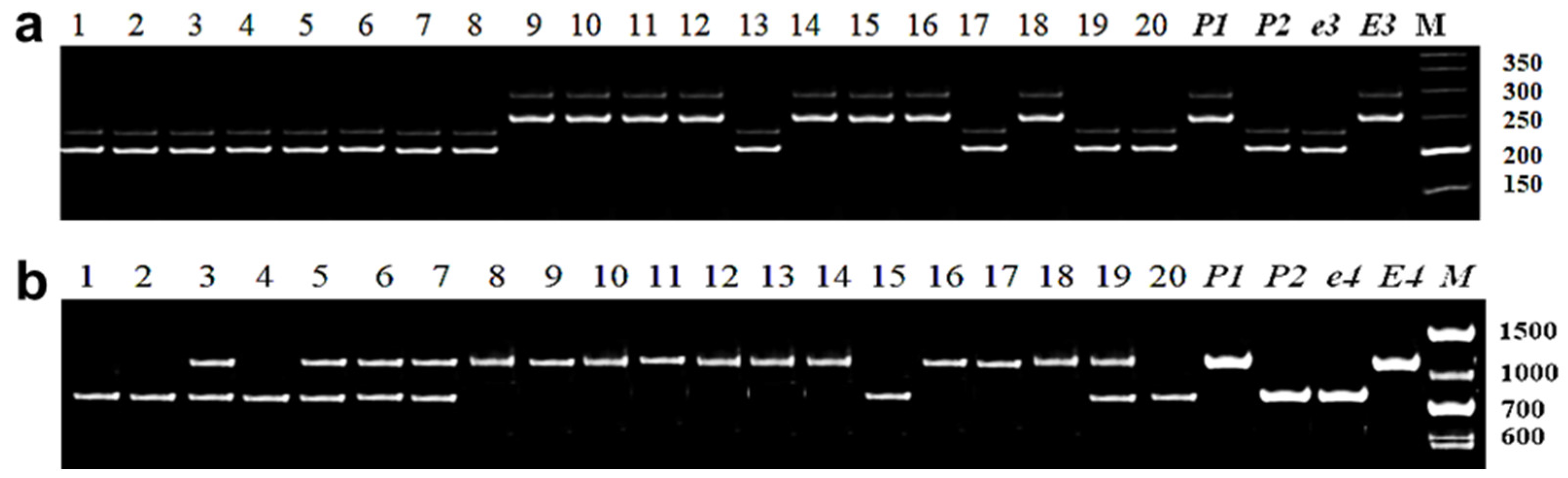 Biomolecules 13 01146 g002