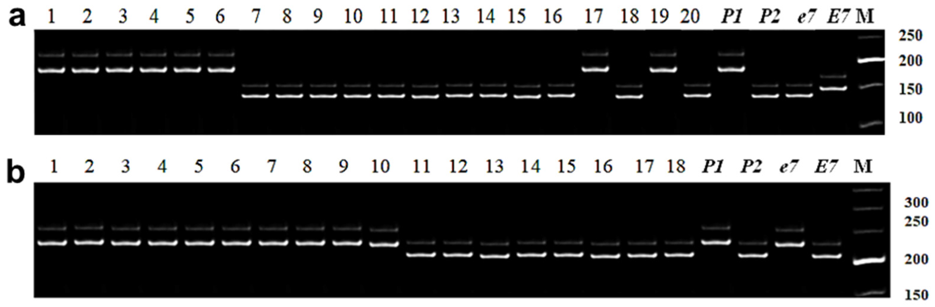 Biomolecules 13 01146 g003