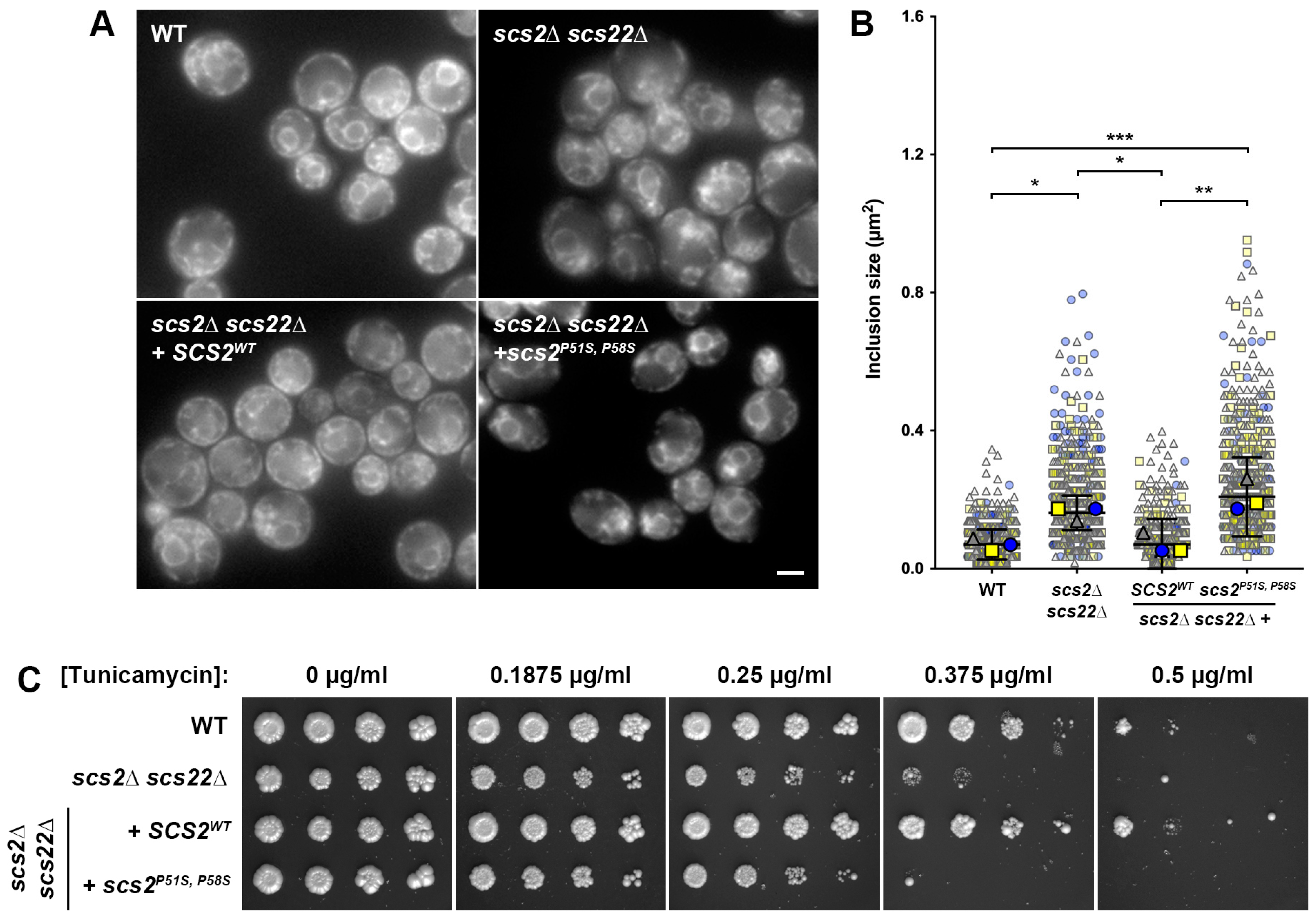 Biomolecules 13 01147 g002 Biomolecules 13 01147 g002