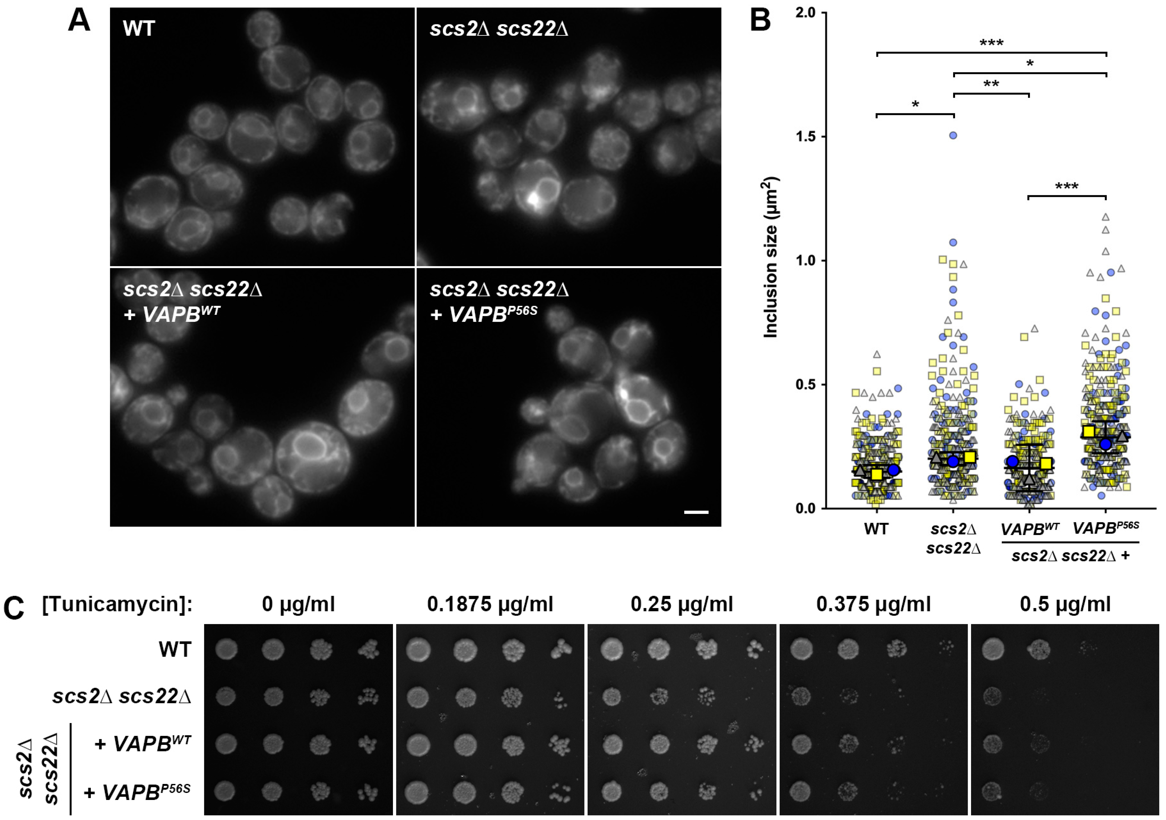 Biomolecules 13 01147 g003 Biomolecules 13 01147 g003