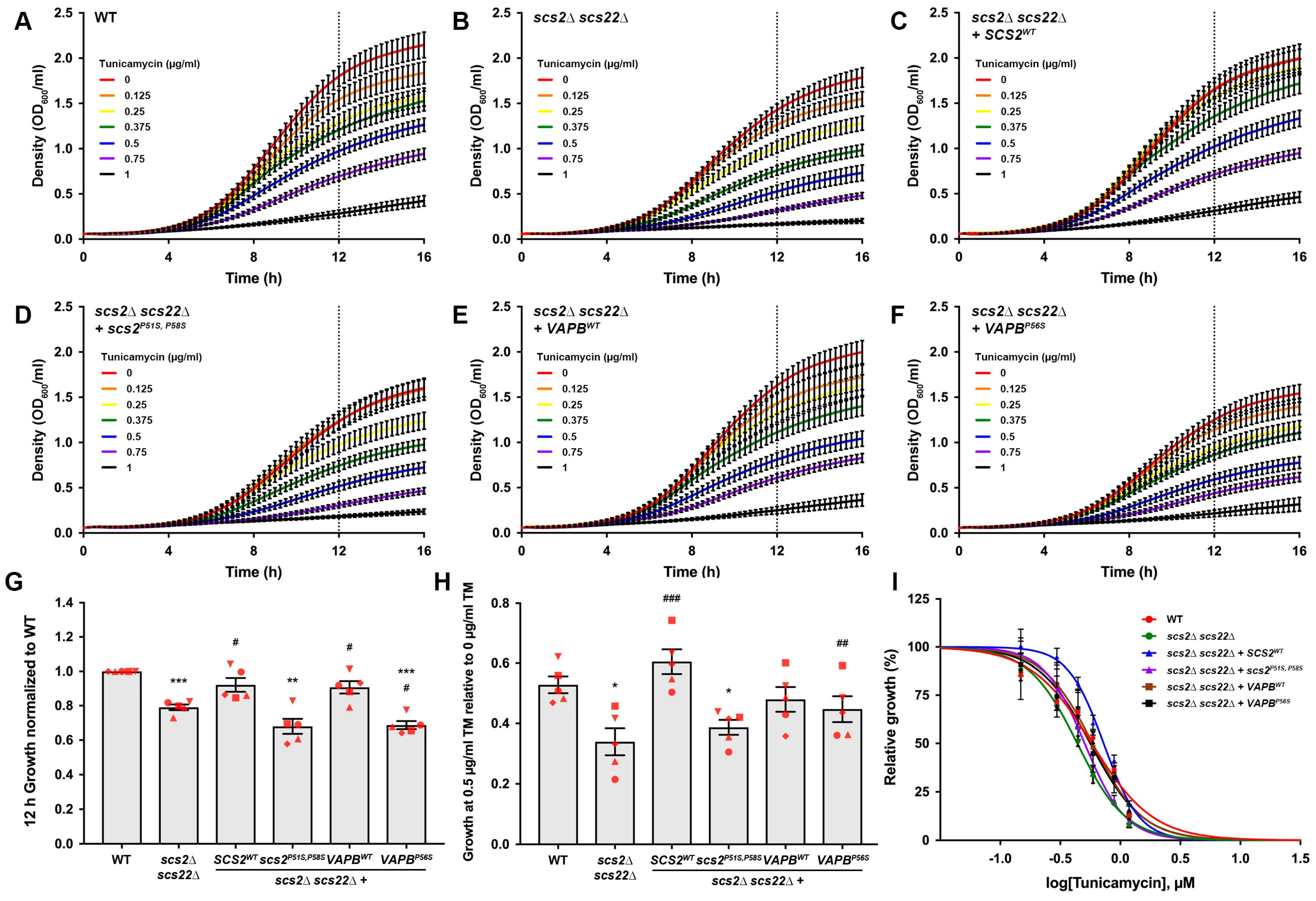 Biomolecules 13 01147 g005 Biomolecules 13 01147 g005