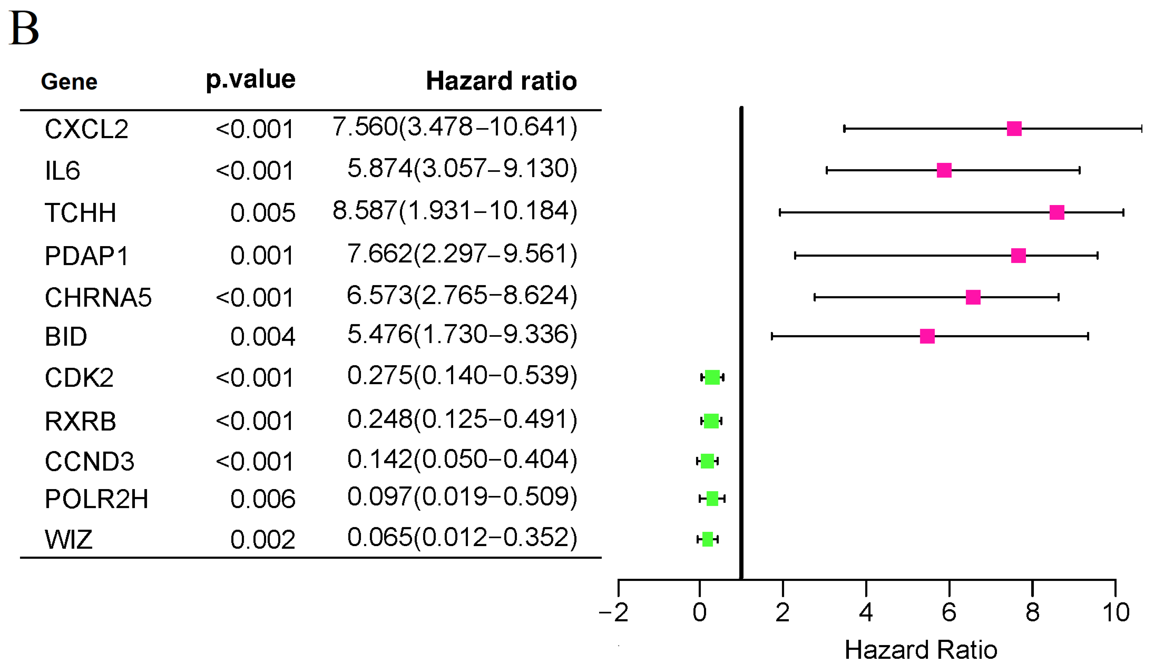 Biomolecules 13 01148 g001b Biomolecules 13 01148 g001b