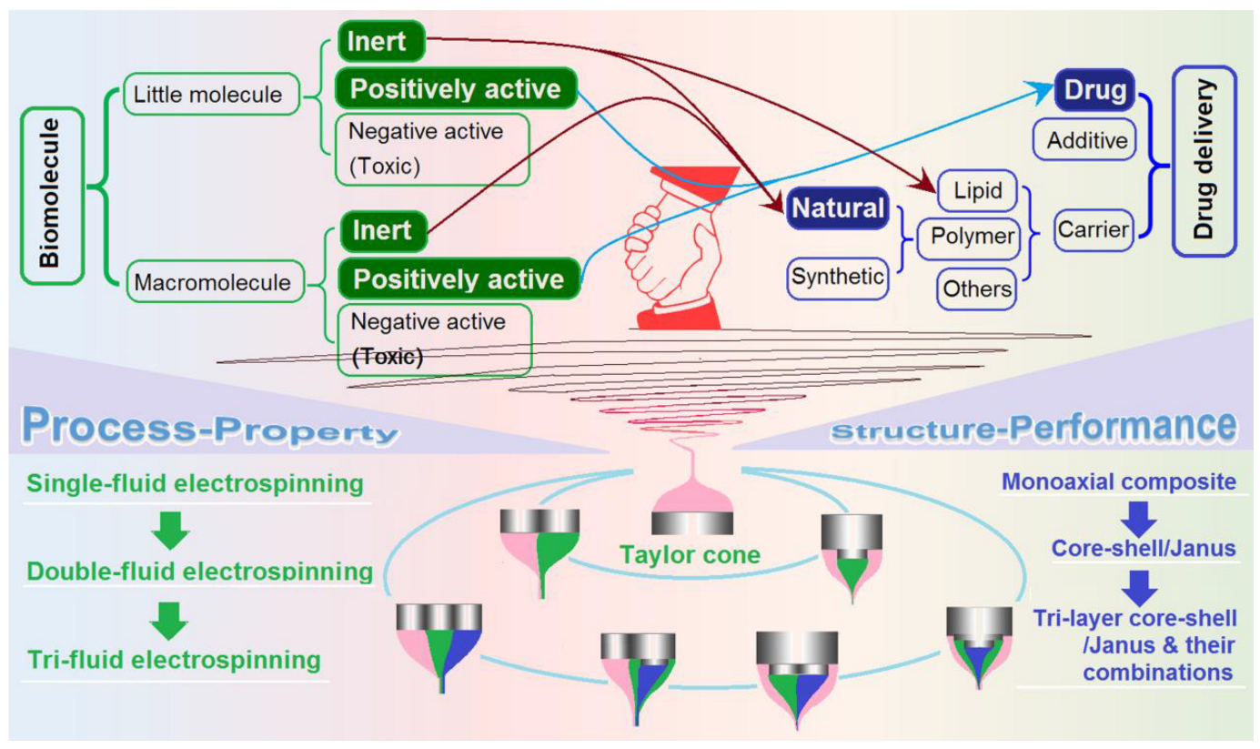 Biomolecules 13 01152 g001