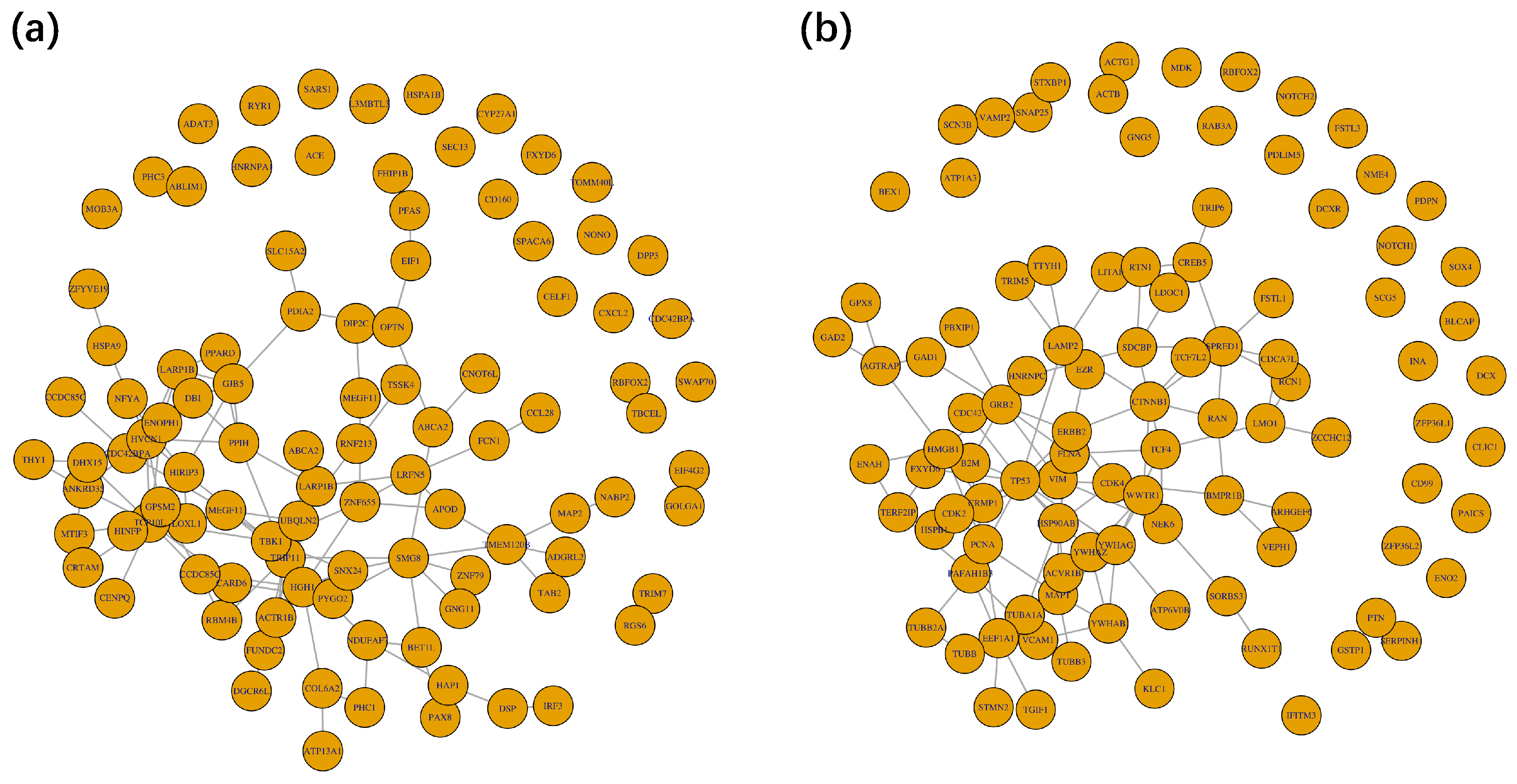 Biomolecules 13 01153 g006 Biomolecules 13 01153 g006