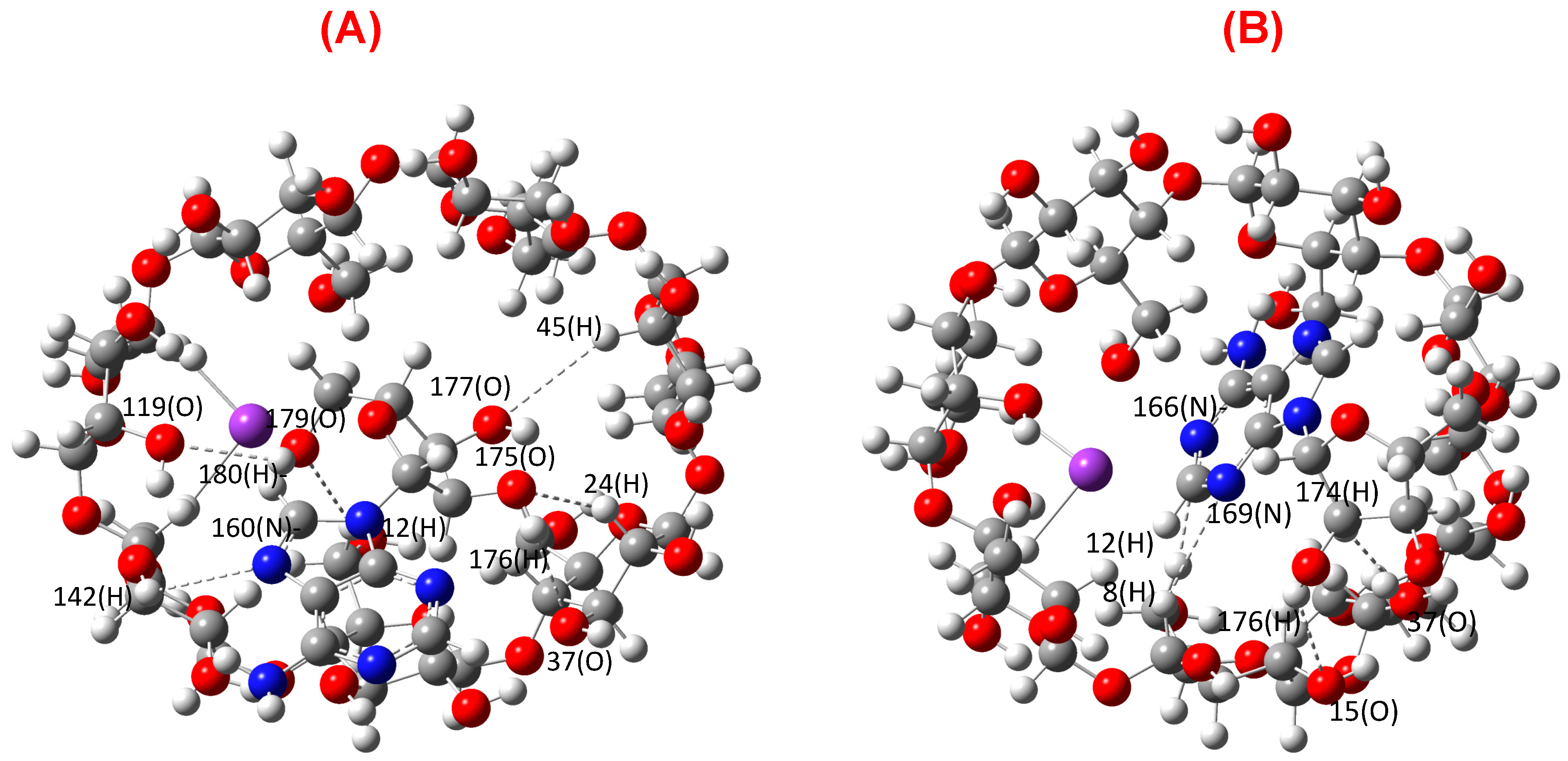 Biomolecules 13 01154 g002 Biomolecules 13 01154 g002