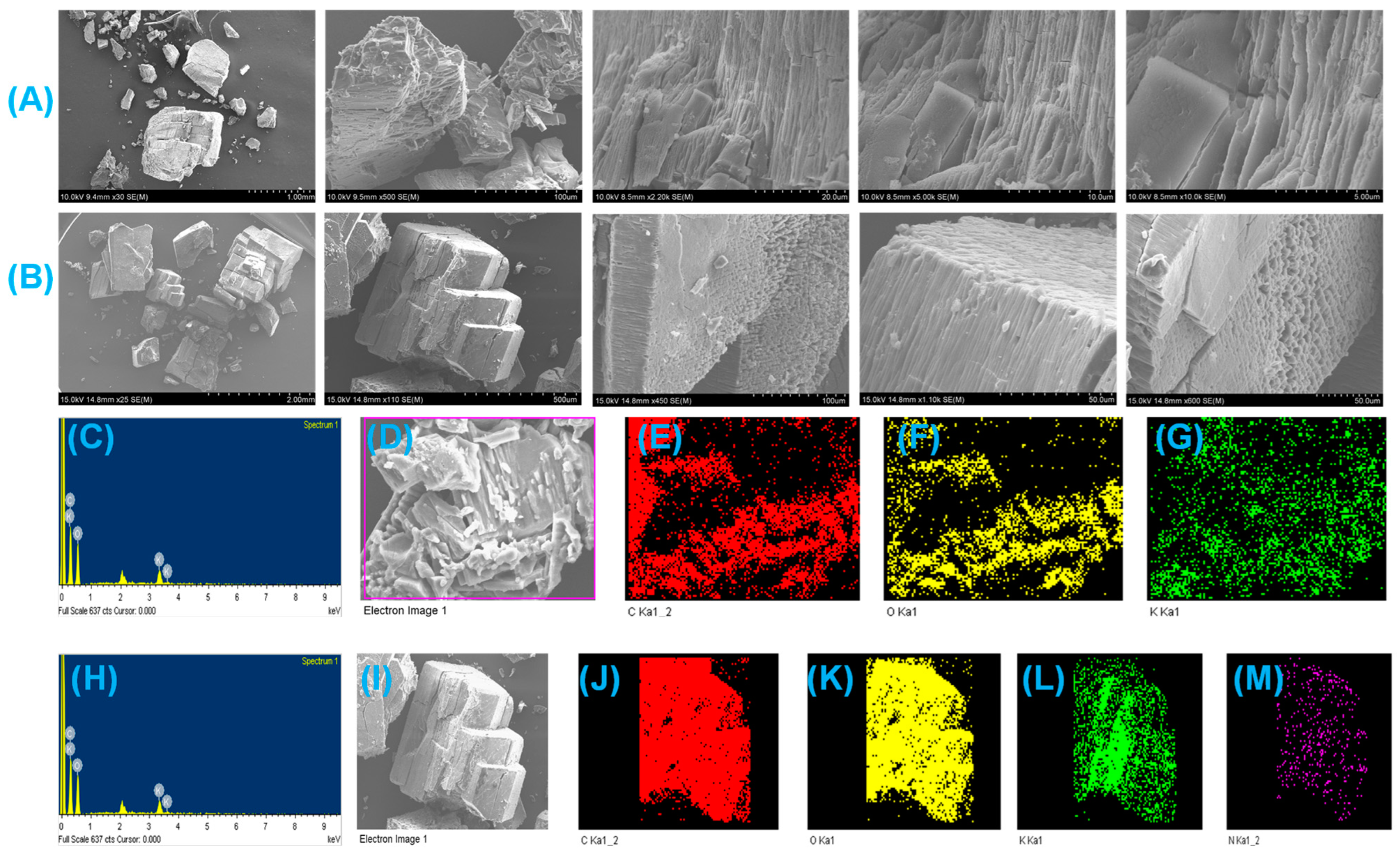 Biomolecules 13 01154 g005 Biomolecules 13 01154 g005