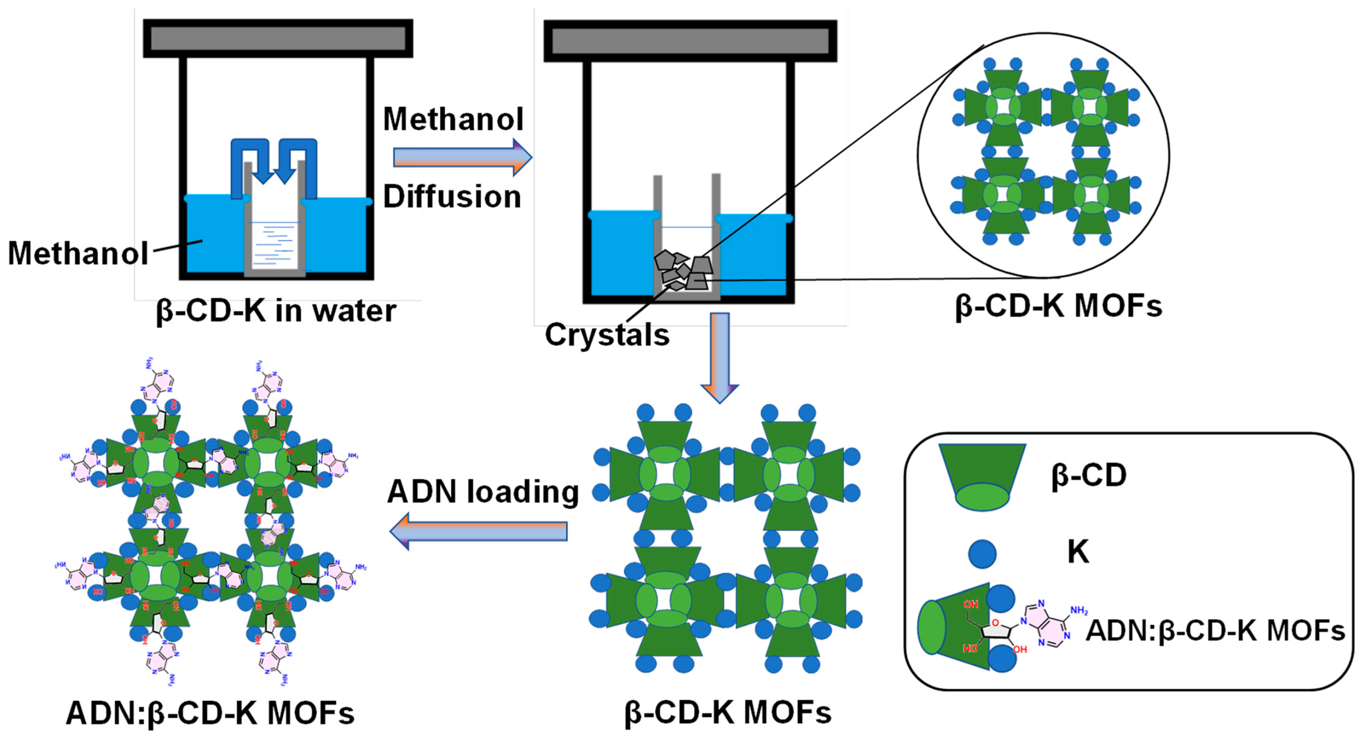 Biomolecules 13 01154 sch001 Biomolecules 13 01154 sch001