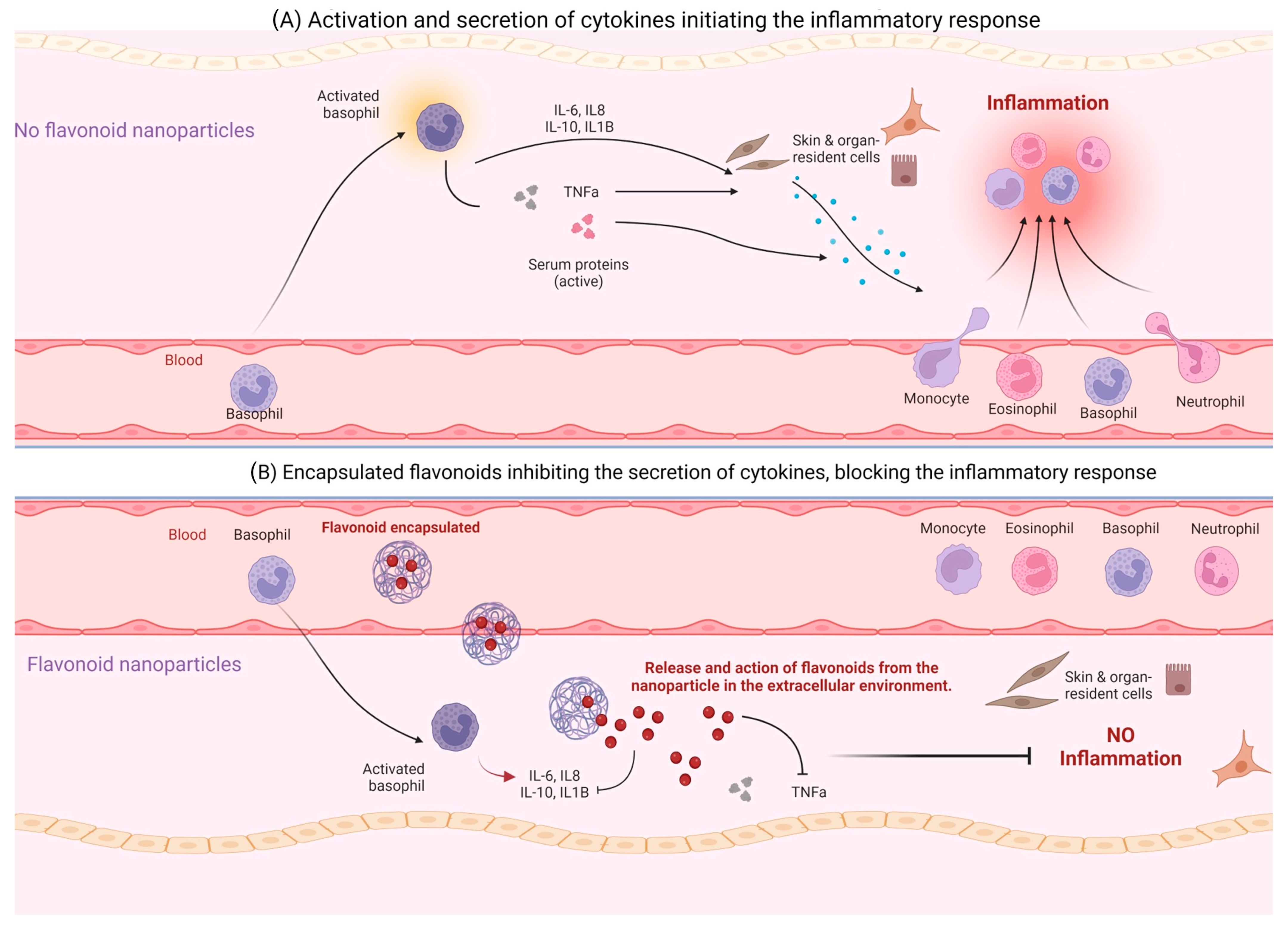 Biomolecules 13 01158 g004 Biomolecules 13 01158 g004