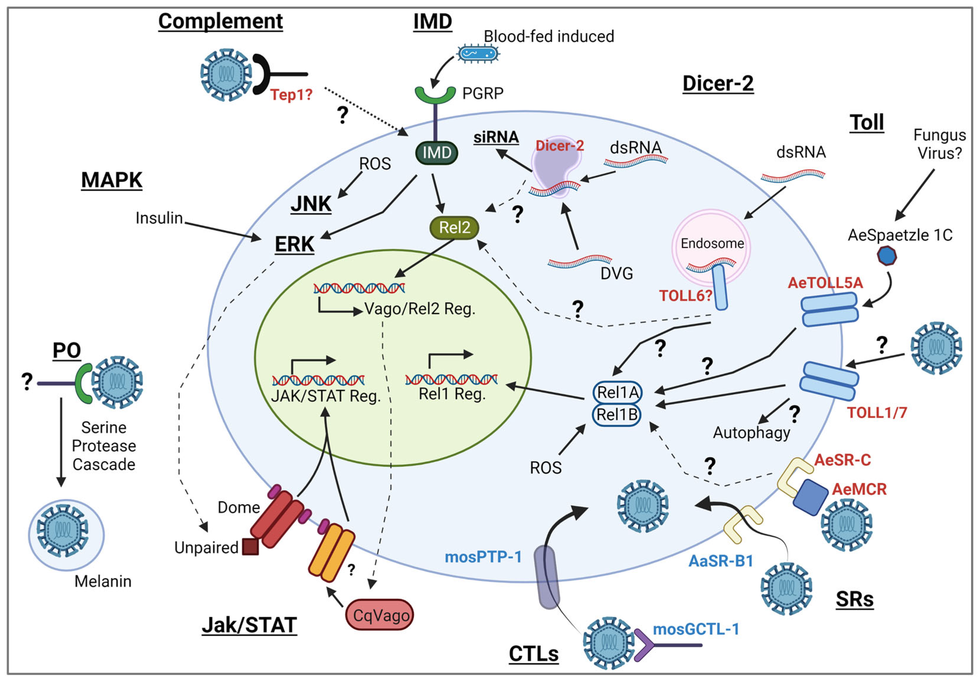 Biomolecules 13 01159 g001 Biomolecules 13 01159 g001