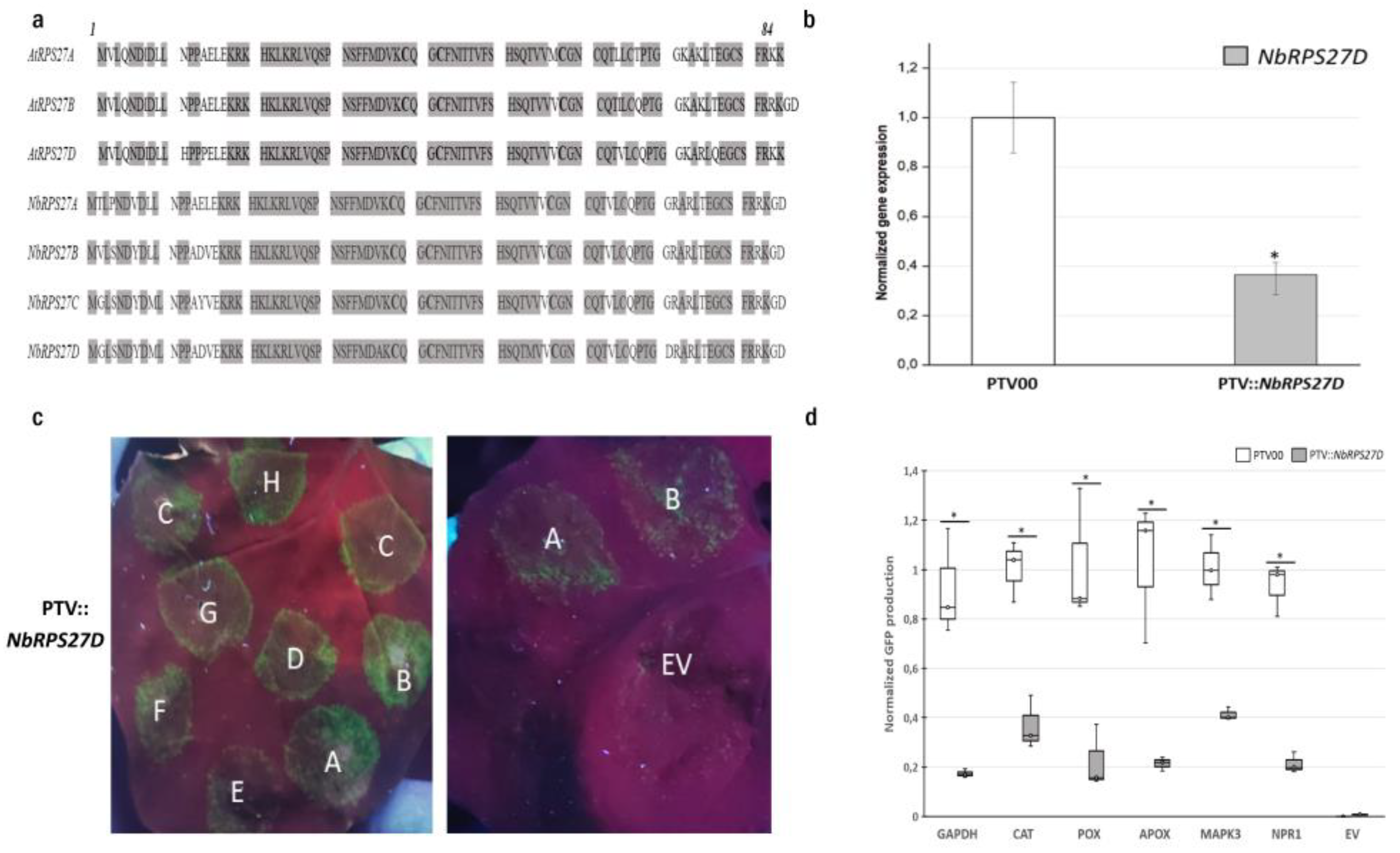 Biomolecules 13 01160 g003
