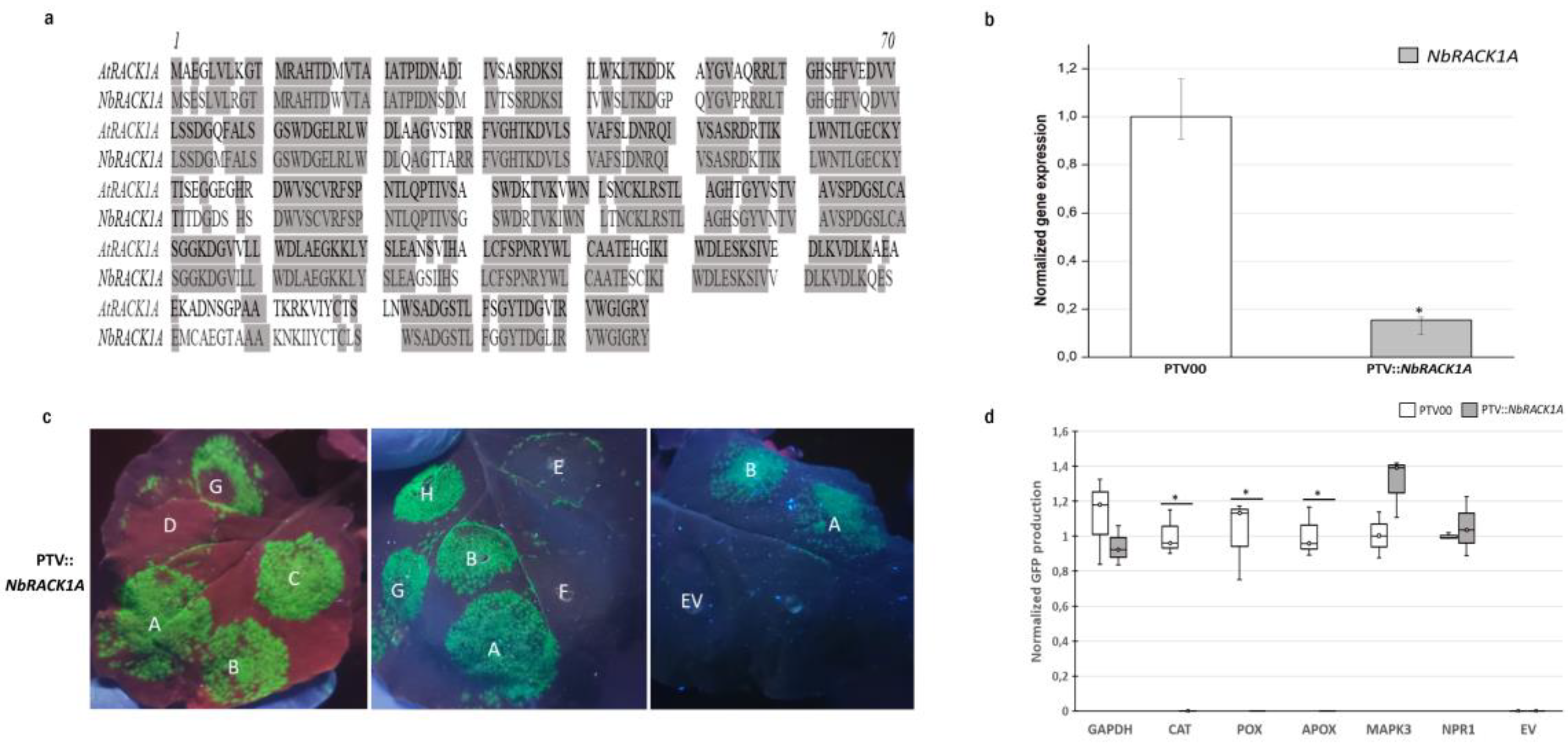 Biomolecules 13 01160 g004