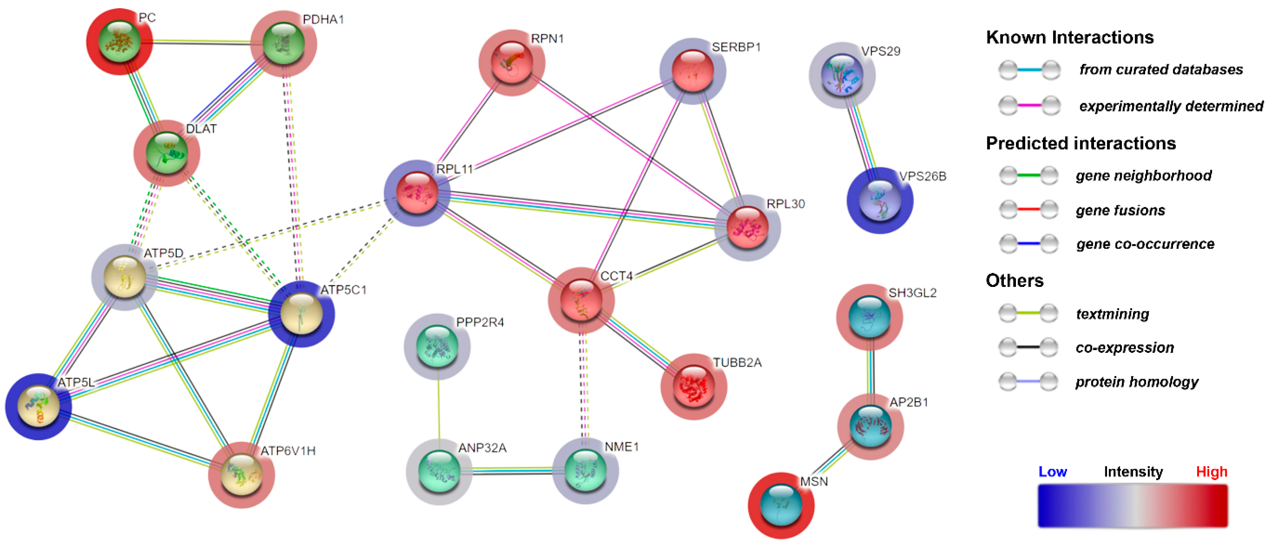 Biomolecules 13 01161 g005