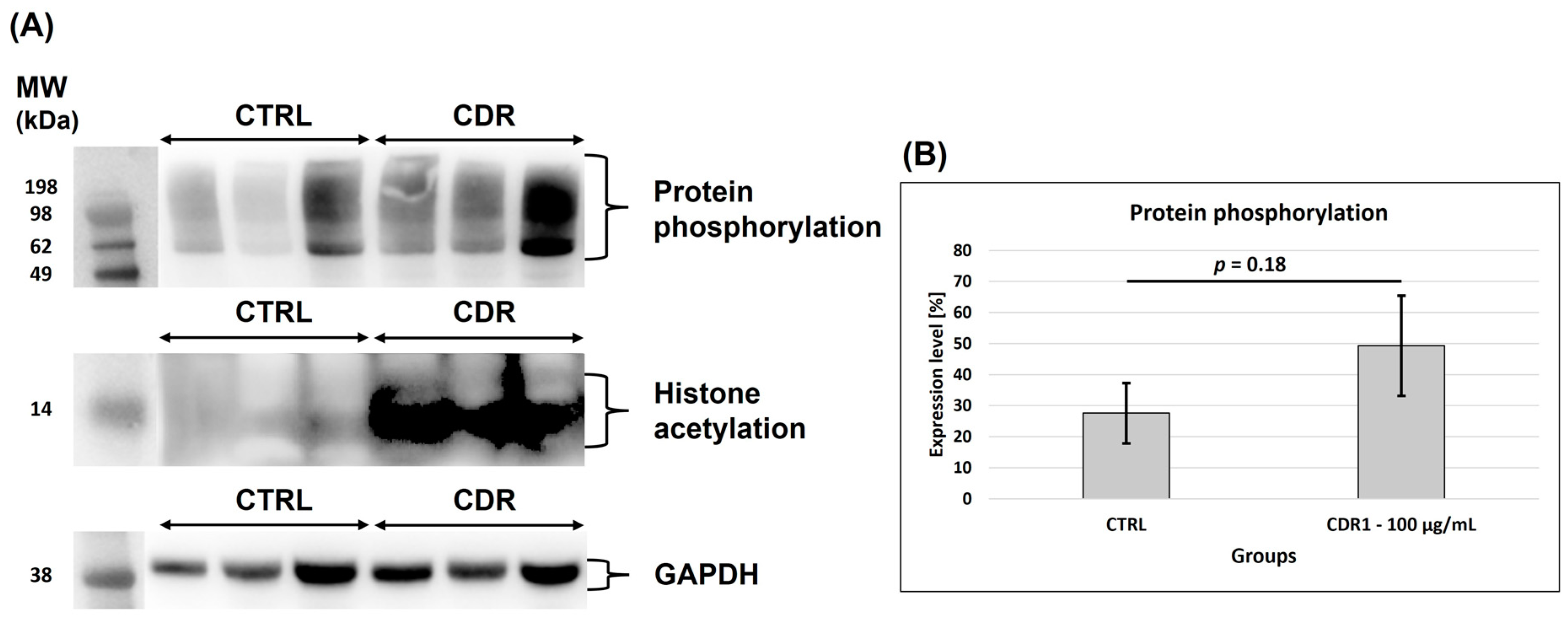 Biomolecules 13 01161 g006